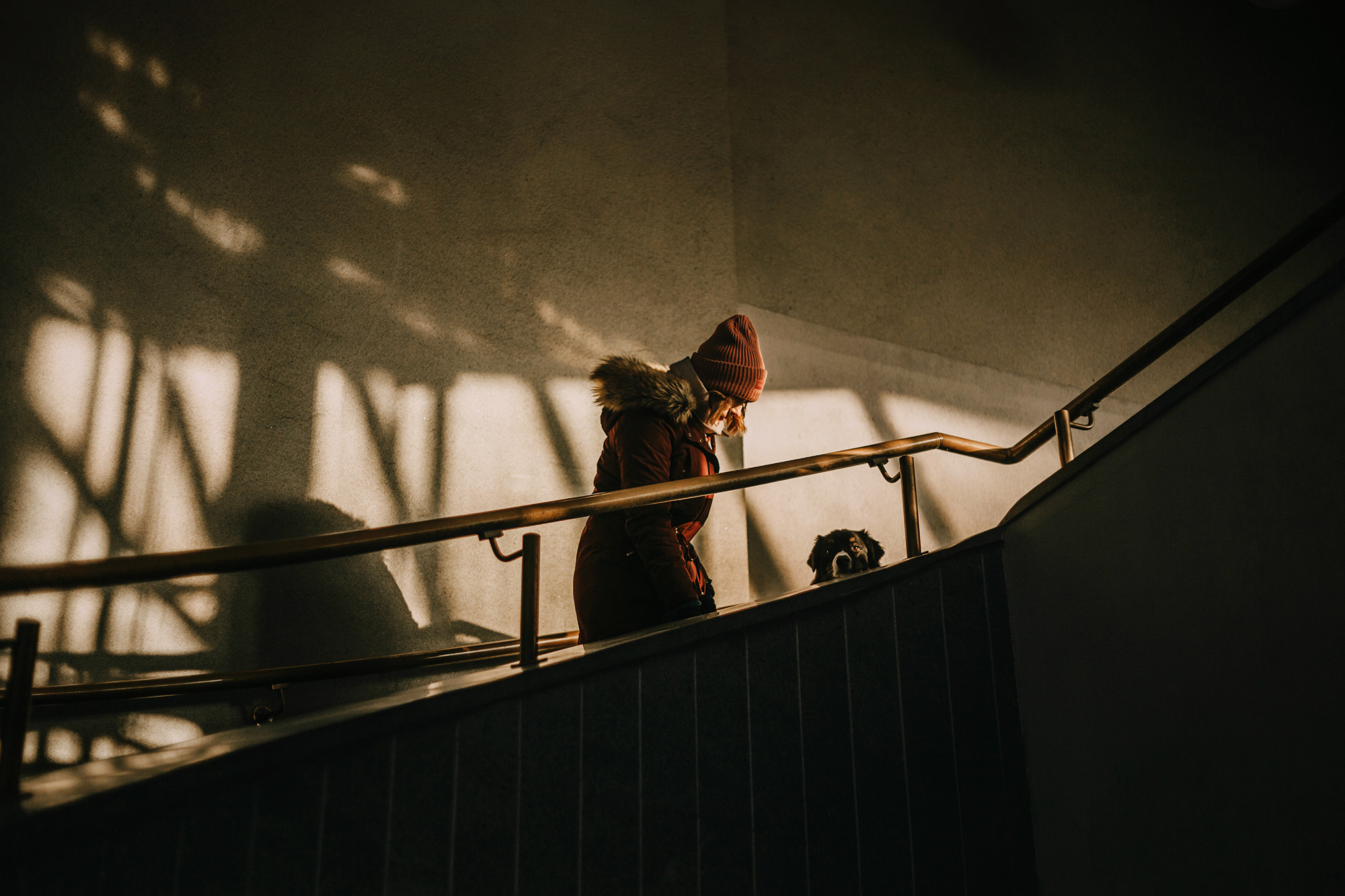 Анна и Чарли. Фотограф-анималист Елена Радченко, Москва