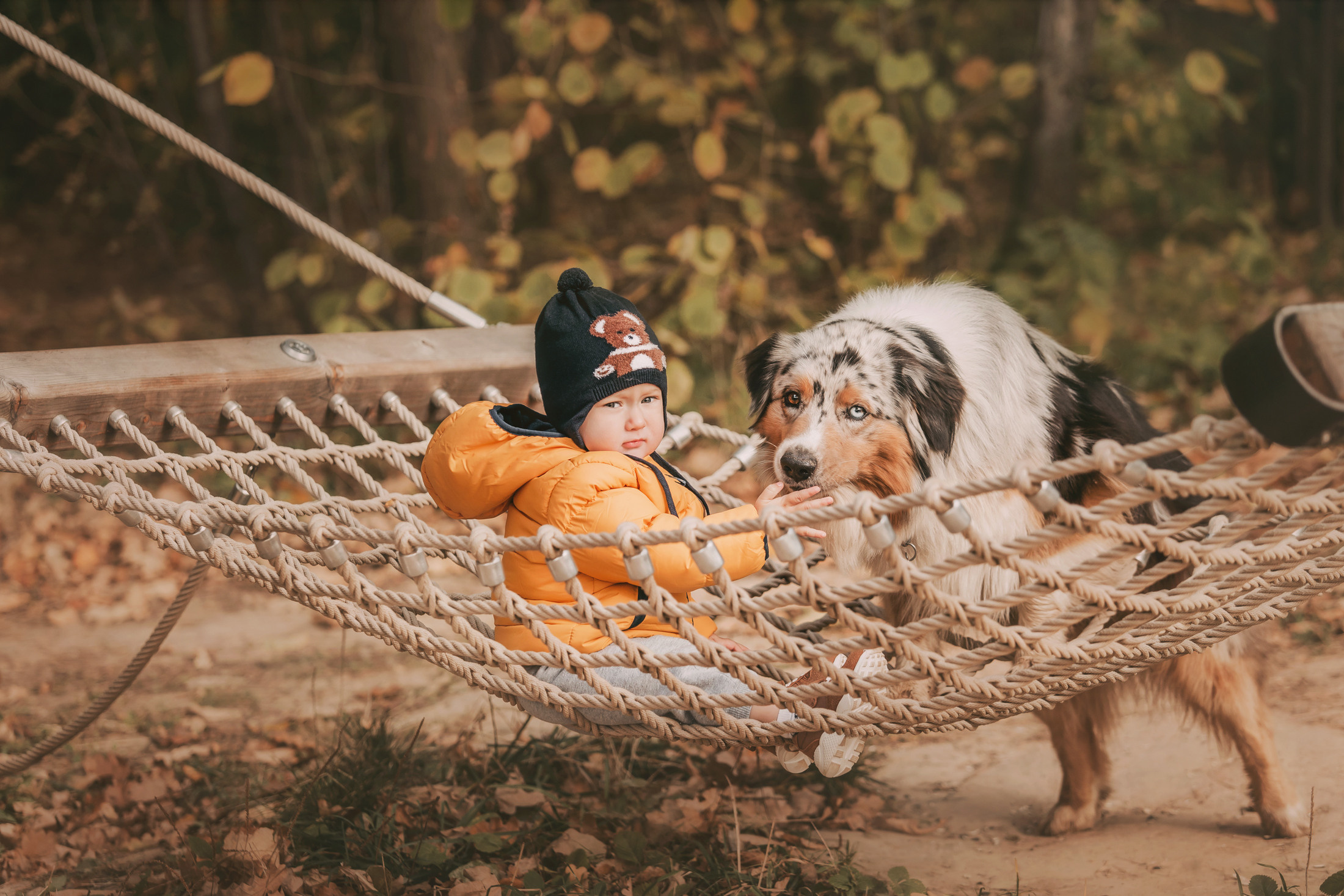 Руби и семья. Фотограф-анималист Елена Радченко, Москва