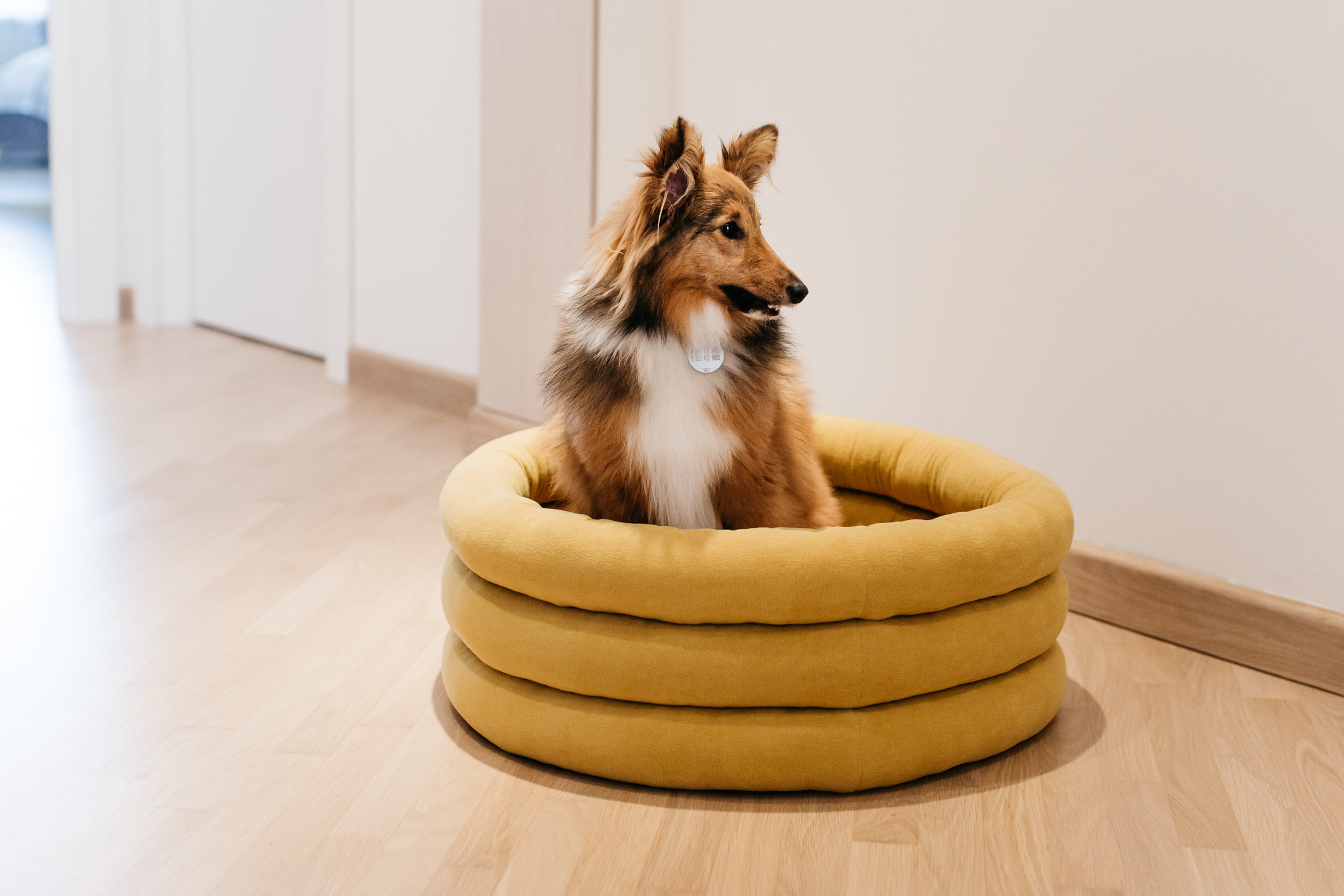 Магазин Bumbaboo. Фотограф-анималист Елена Радченко, Москва