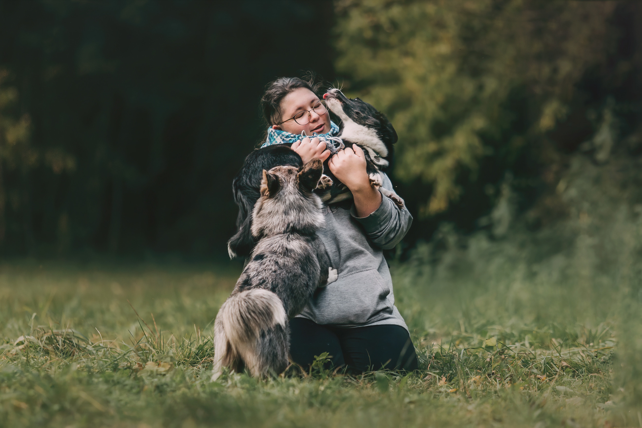 Корги встреча. Фотограф-анималист Елена Радченко, Москва
