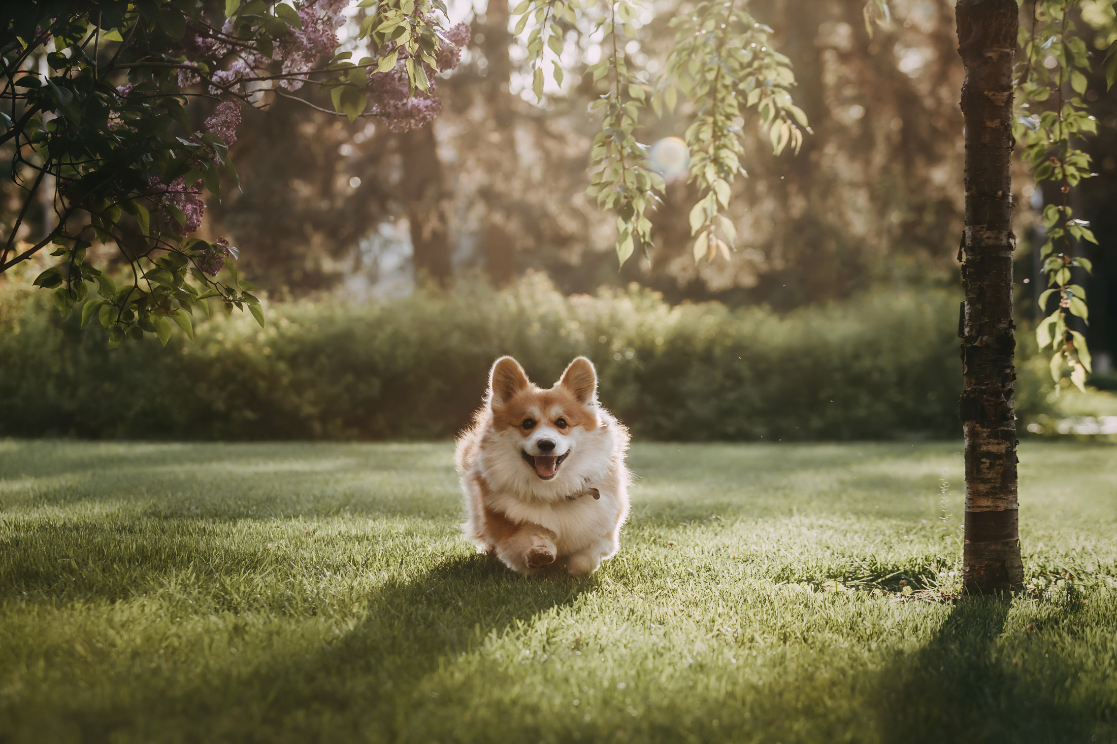 Аня и Винни. Фотограф-анималист Елена Радченко, Москва