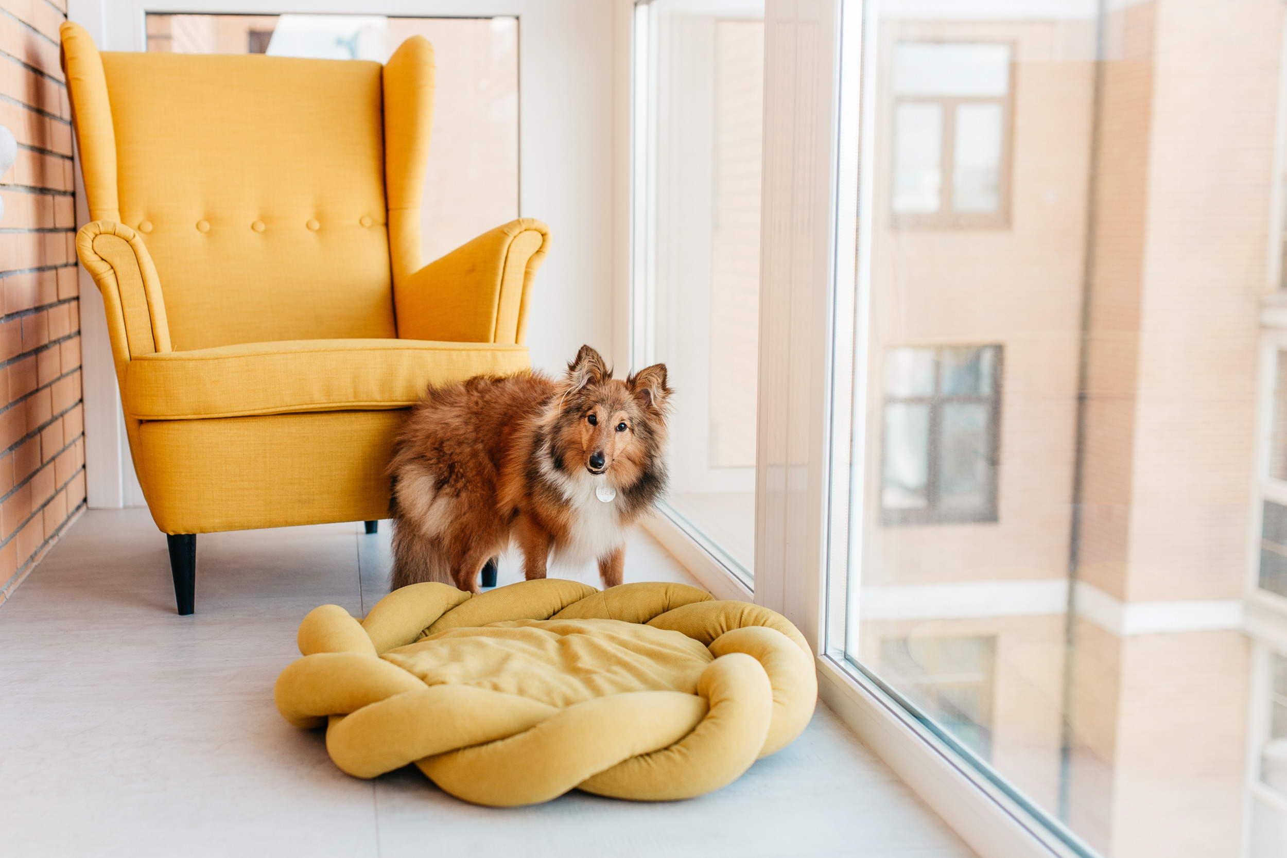 Магазин Bumbaboo. Фотограф-анималист Елена Радченко, Москва