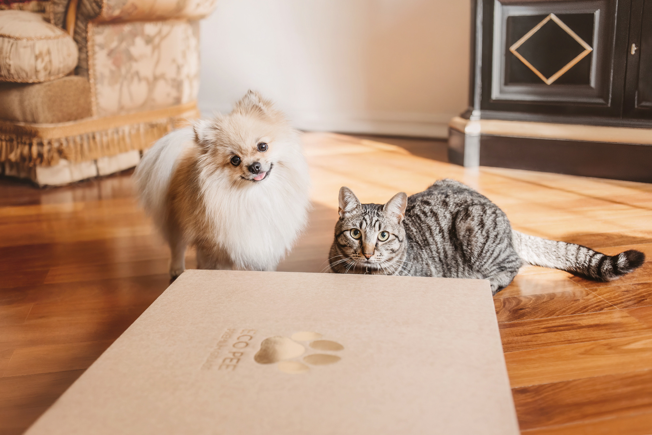 Эко-лотки. Фотограф-анималист Елена Радченко, Москва