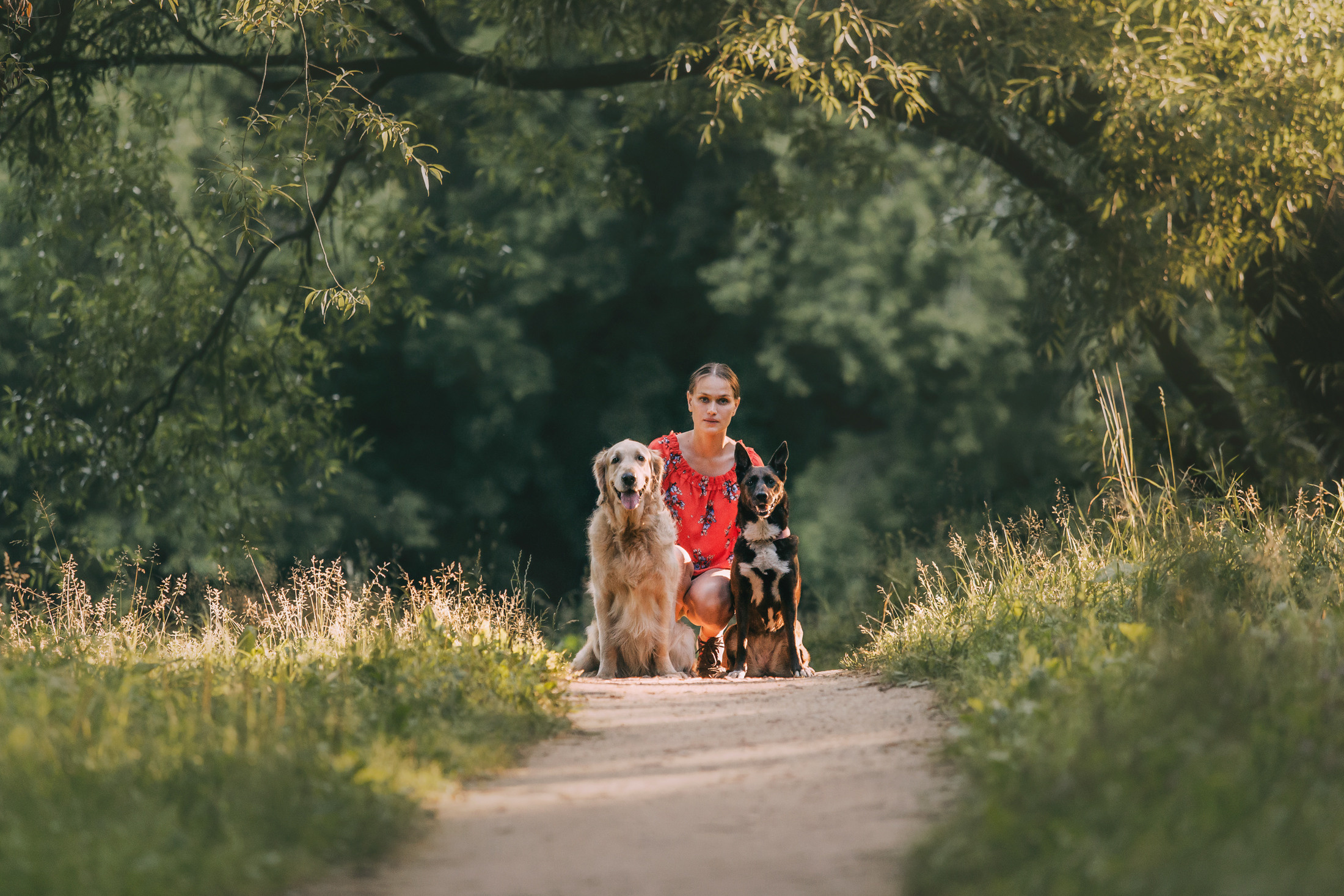 Ира, Бэлла и Альма. Фотограф-анималист Елена Радченко, Москва