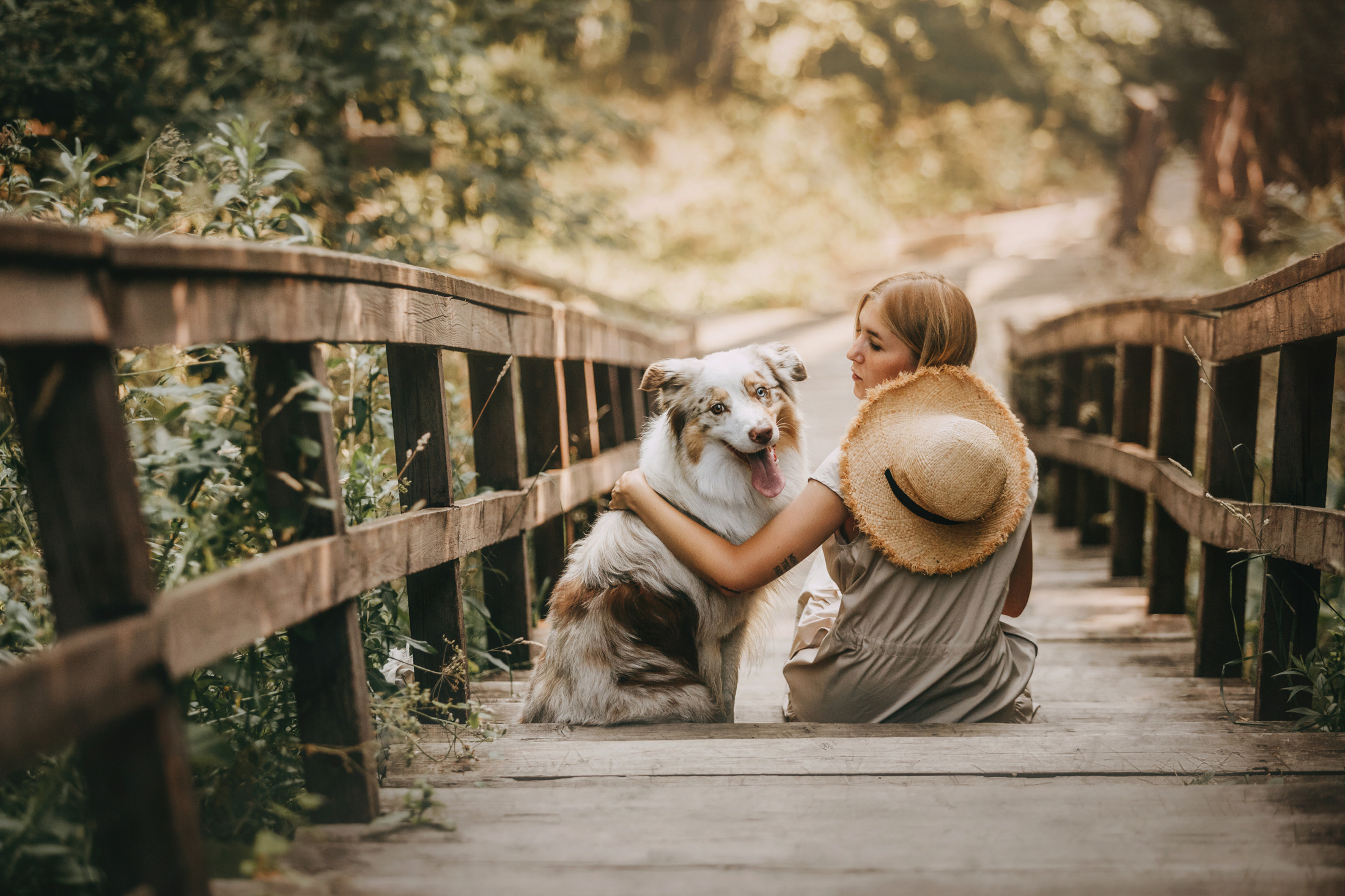 Хаул. Фотограф-анималист Елена Радченко, Москва