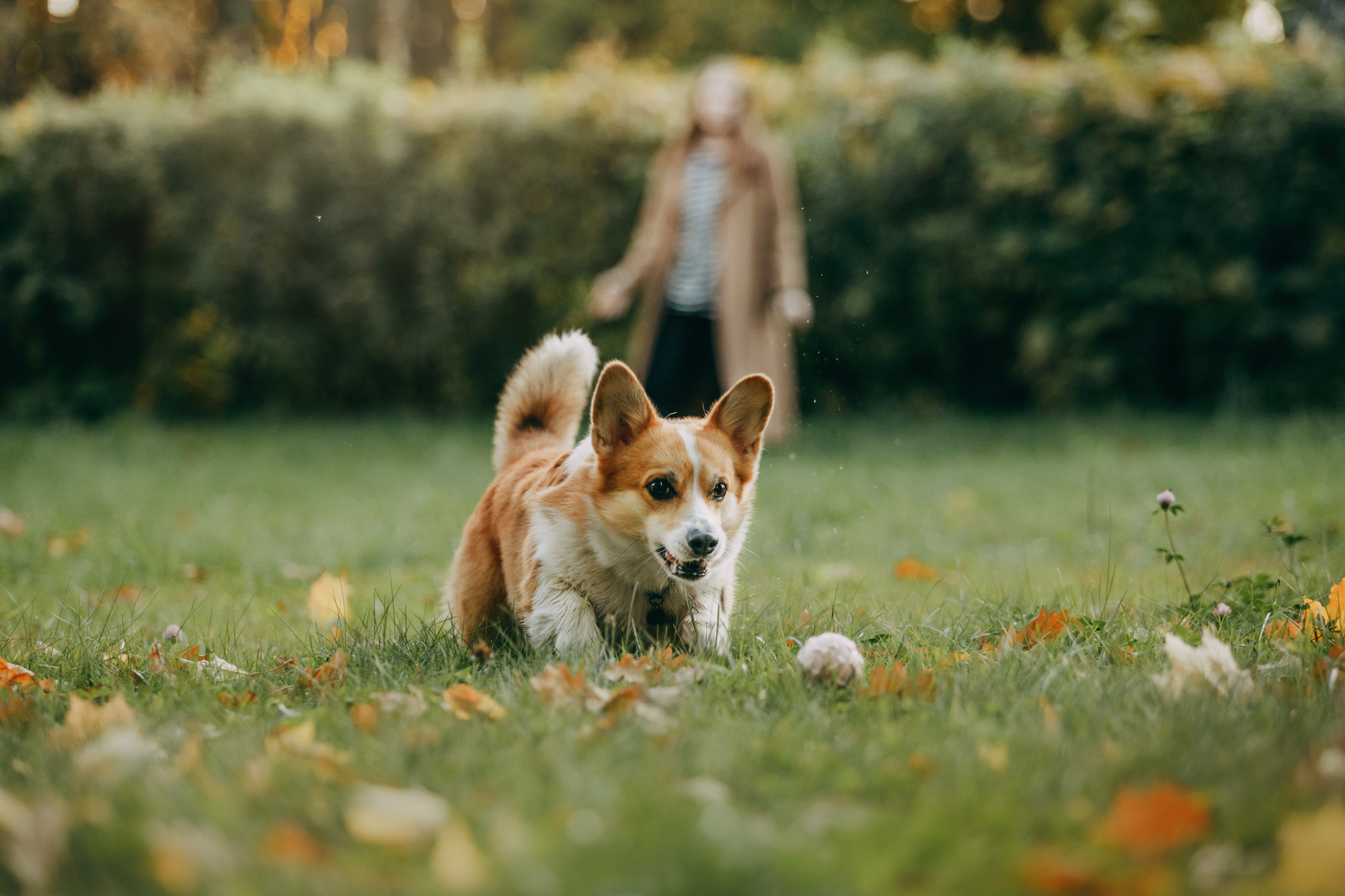 Настя и Пумба. Фотограф-анималист Елена Радченко, Москва