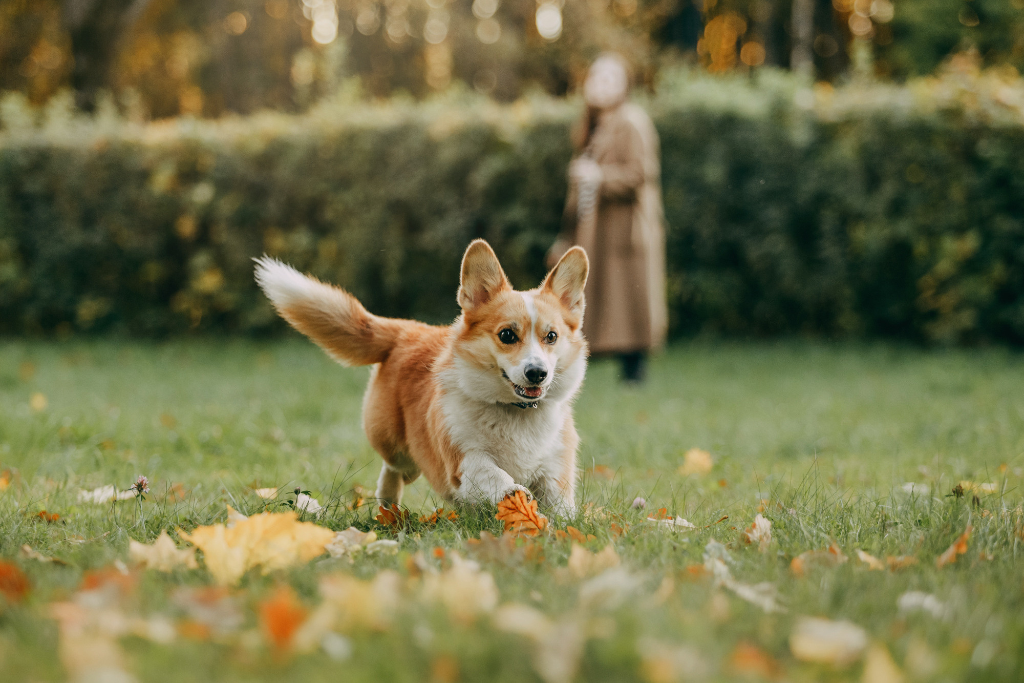 Настя и Пумба. Фотограф-анималист Елена Радченко, Москва