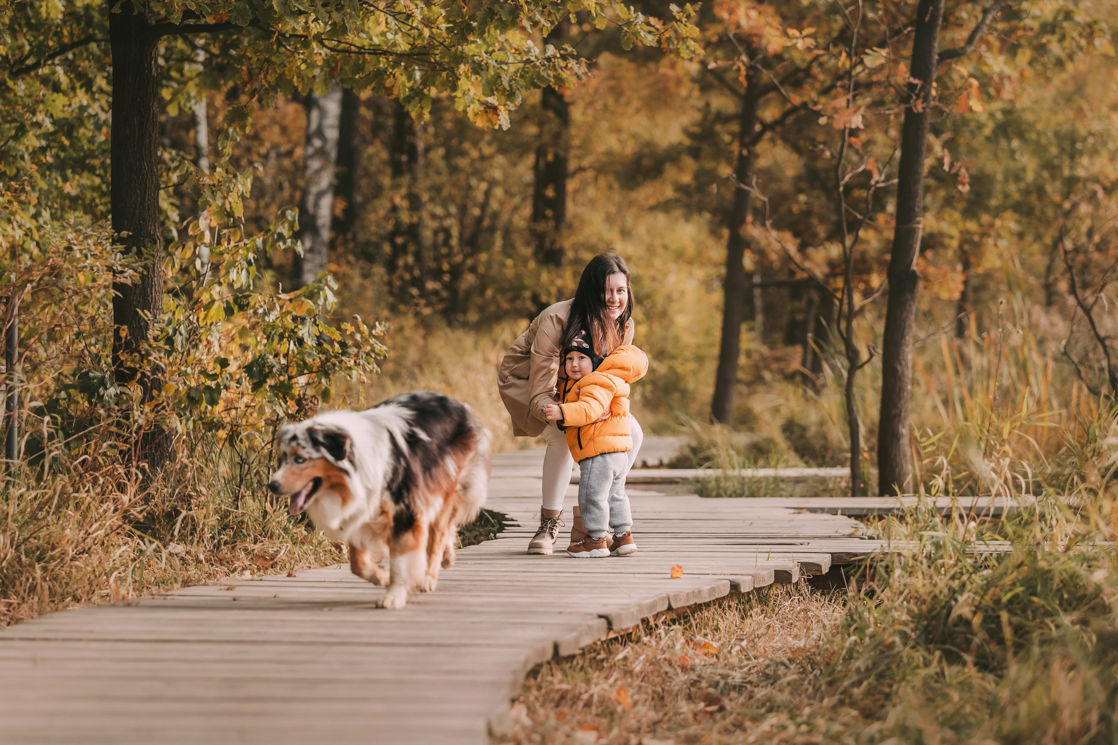 Руби и семья. Фотограф-анималист Елена Радченко, Москва