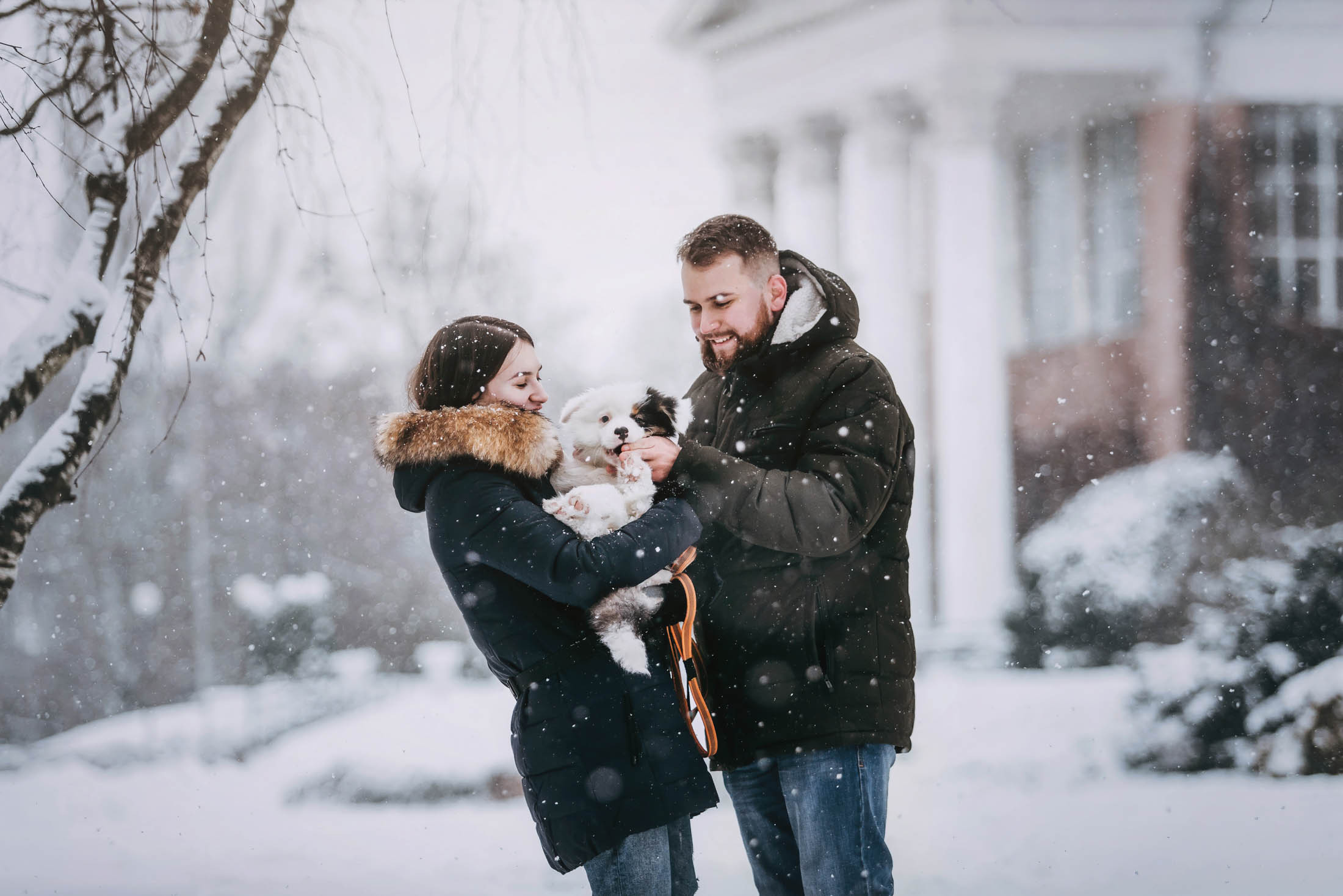 Эбби. Фотограф-анималист Елена Радченко, Москва