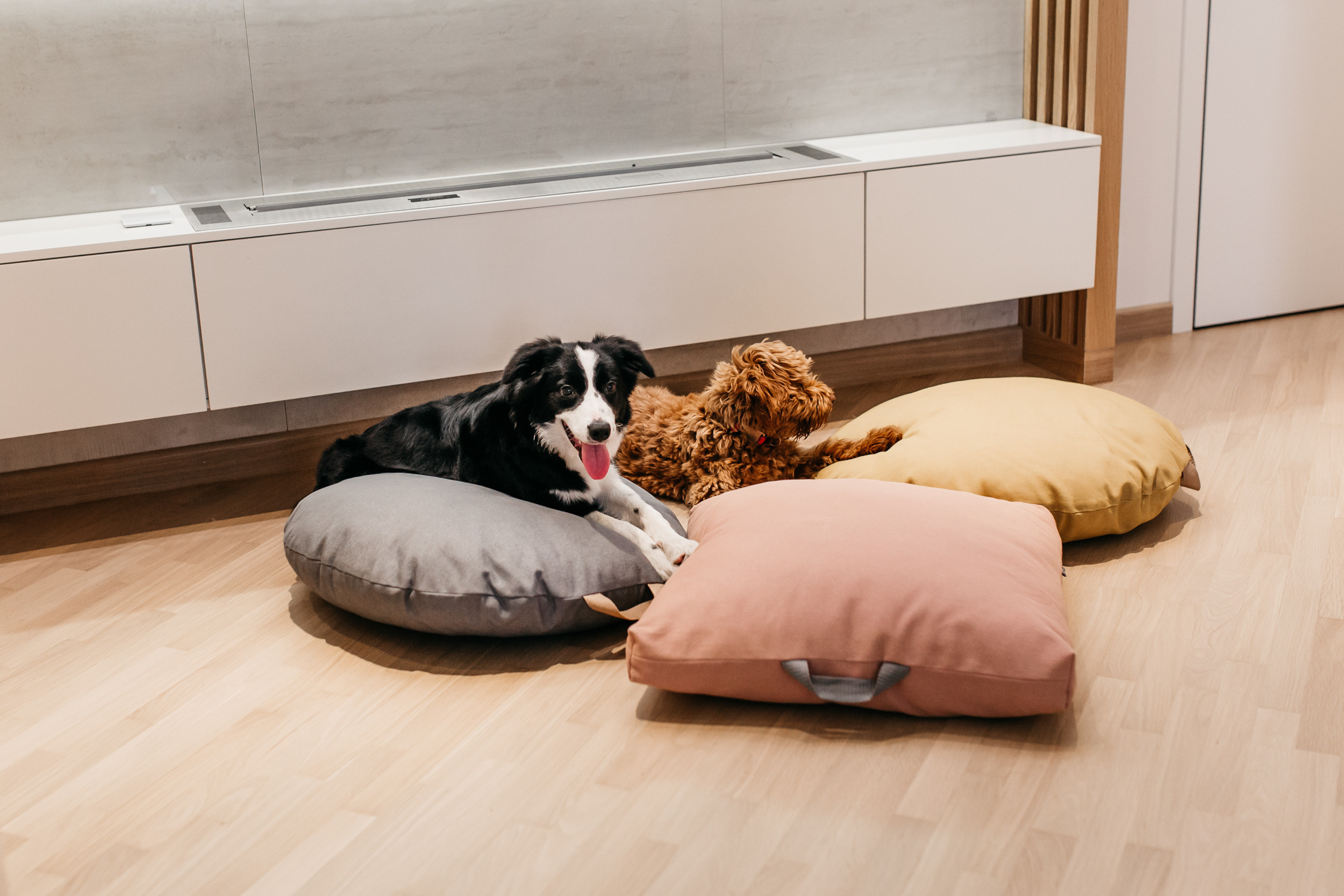 Магазин Bumbaboo. Фотограф-анималист Елена Радченко, Москва