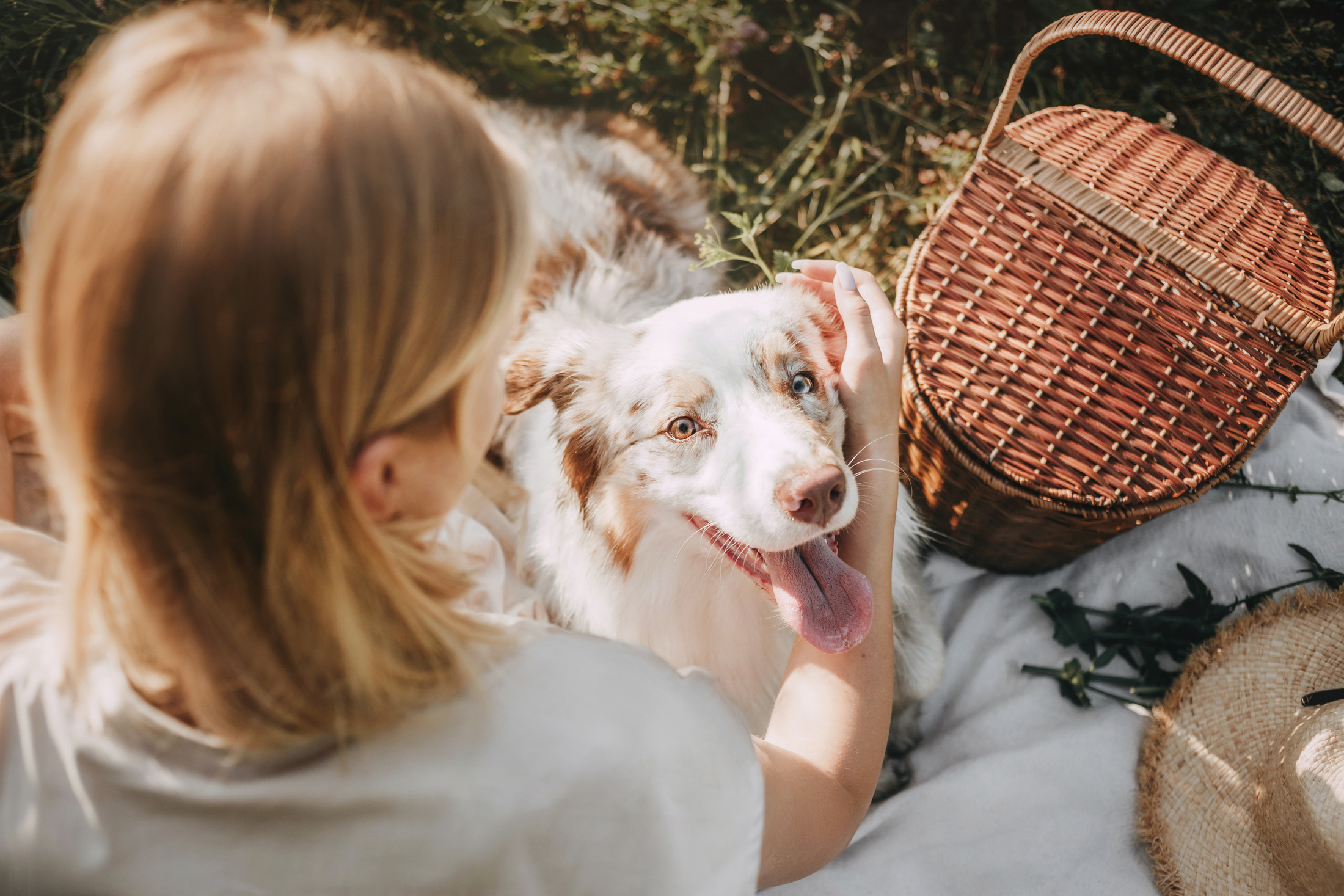 Хаул. Фотограф-анималист Елена Радченко, Москва