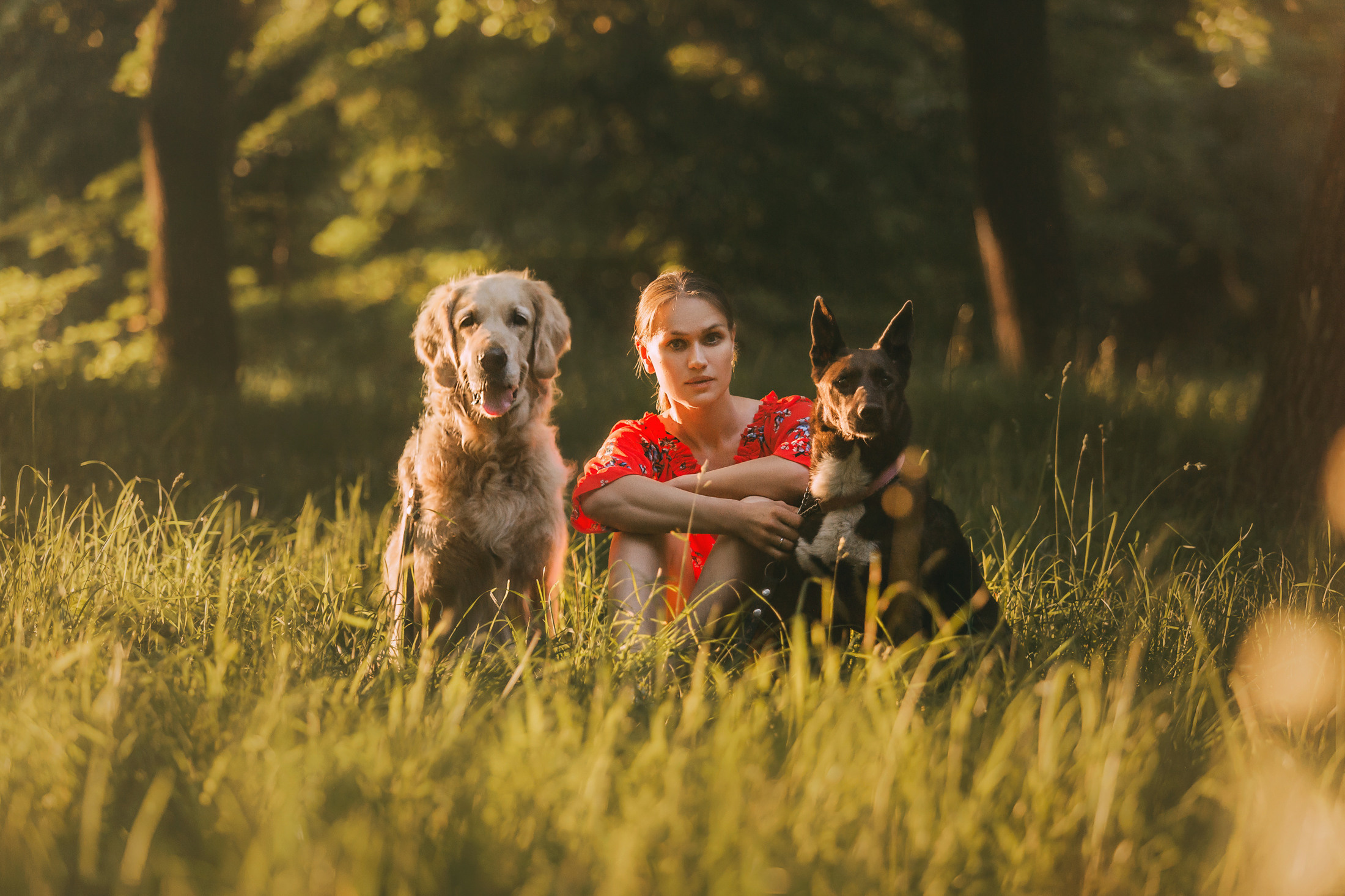 Ира, Бэлла и Альма. Фотограф-анималист Елена Радченко, Москва