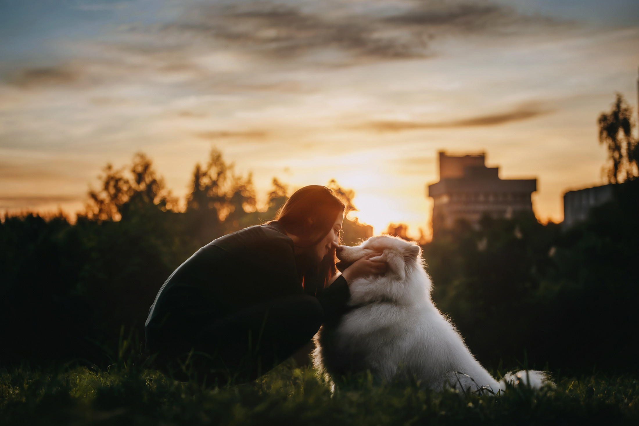 Эффи. Фотограф-анималист Елена Радченко, Москва