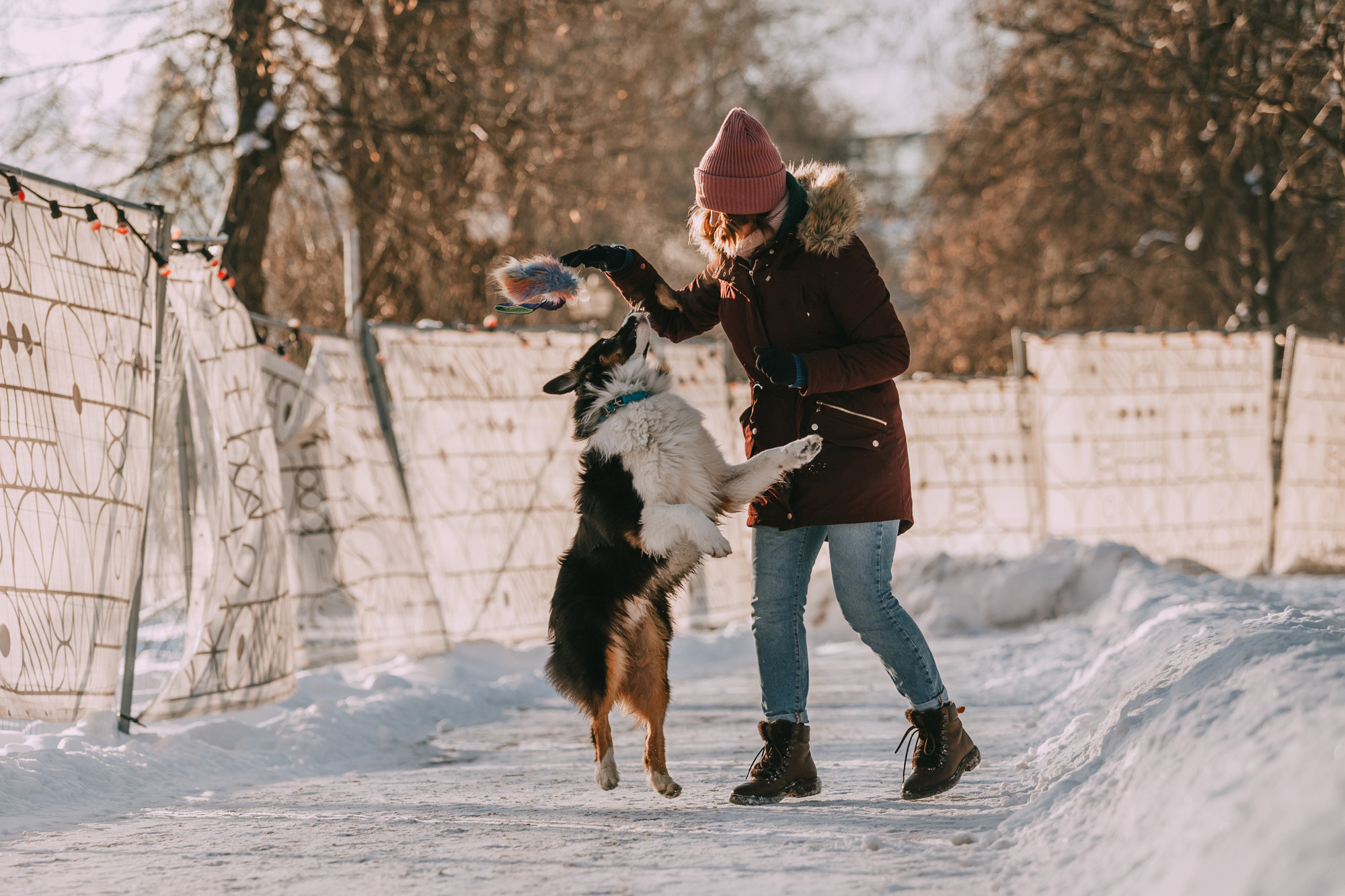 Анна и Чарли. Фотограф-анималист Елена Радченко, Москва