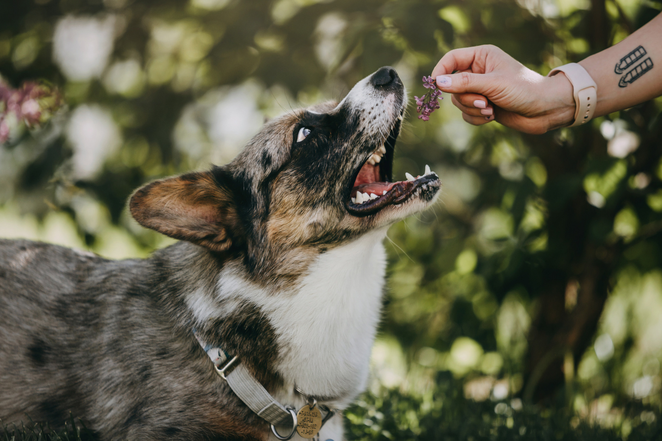 Оля и Кубик. Фотограф-анималист Елена Радченко, Москва