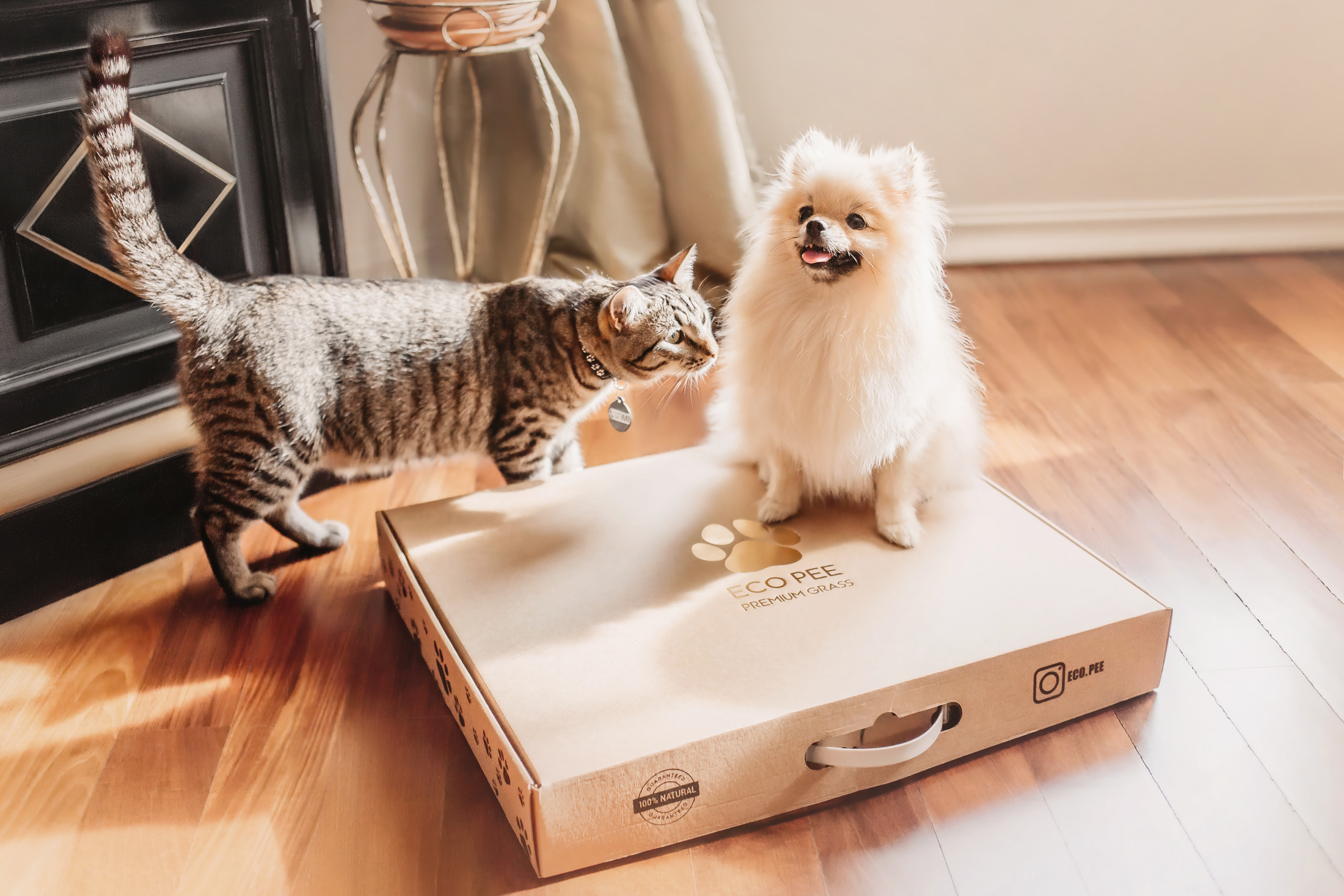 Эко-лотки. Фотограф-анималист Елена Радченко, Москва