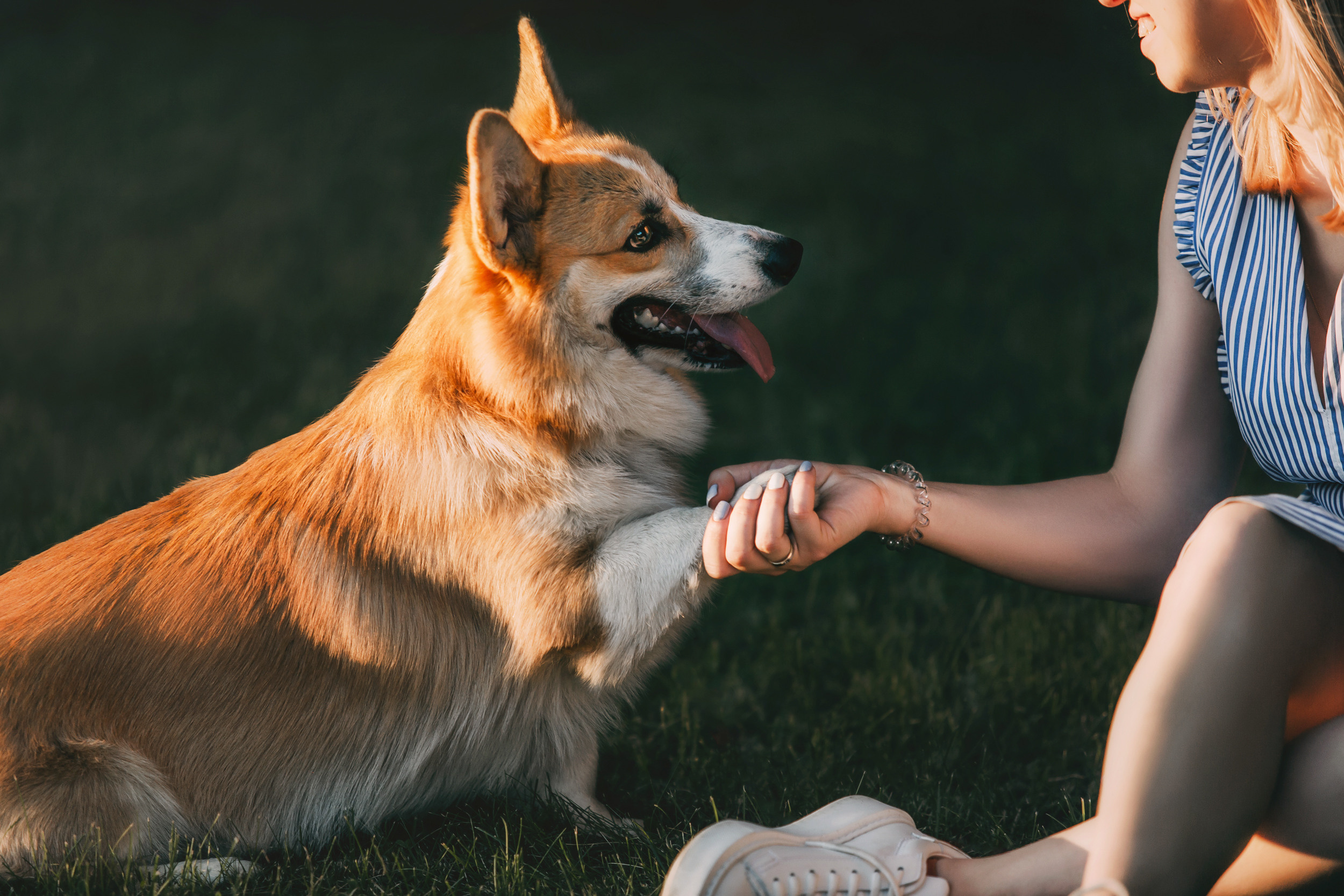 Даша и Шерлок. Фотограф-анималист Елена Радченко, Москва