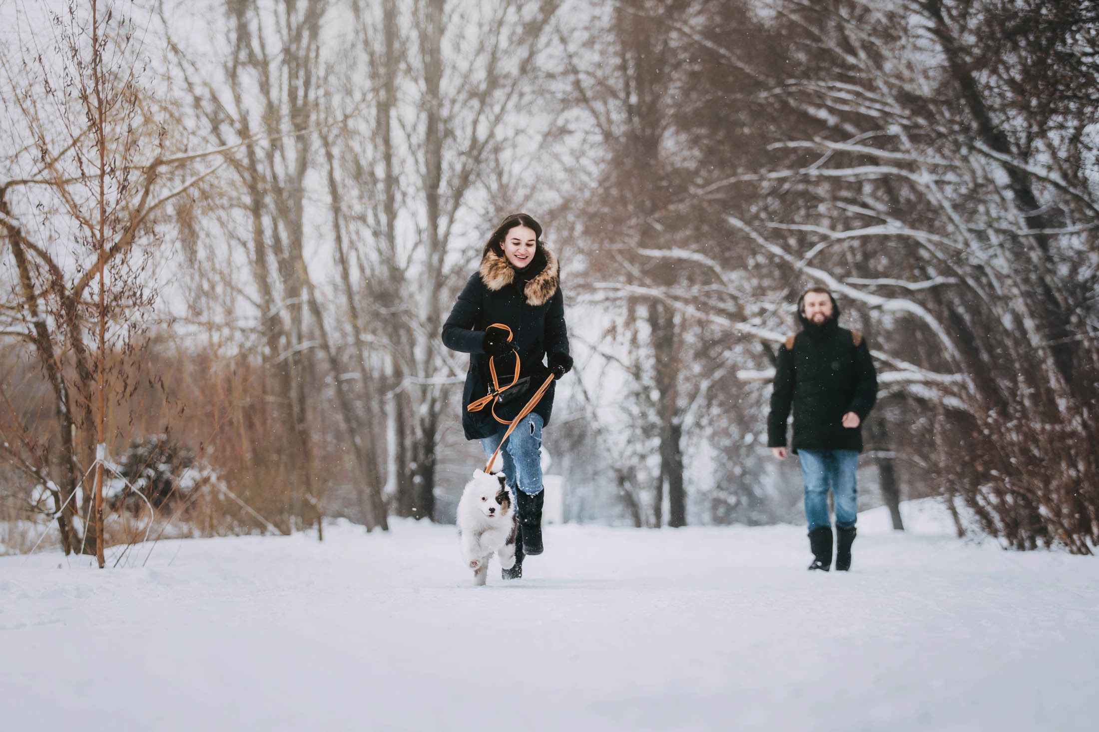 Эбби. Фотограф-анималист Елена Радченко, Москва