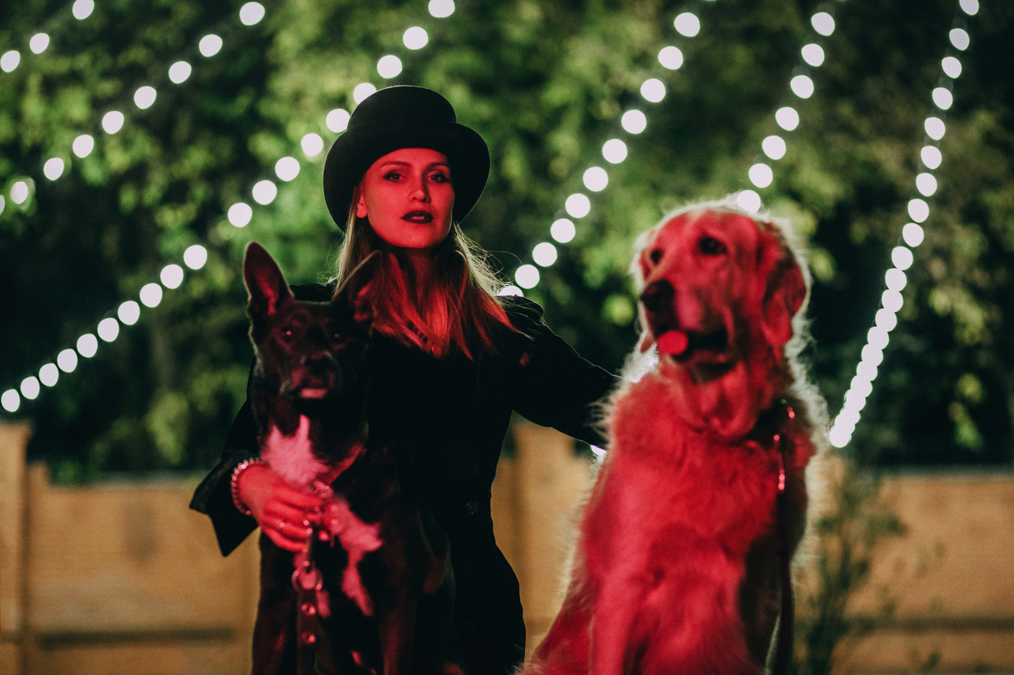 Ира, Бэлла и Альма. Фотограф-анималист Елена Радченко, Москва