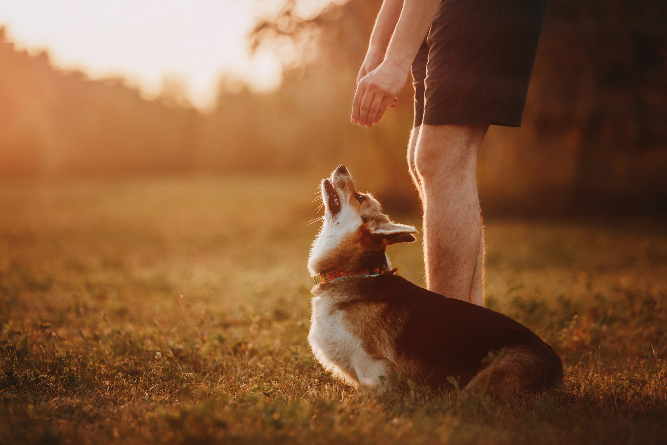 Вилена и Джуна. Фотограф-анималист Елена Радченко, Москва