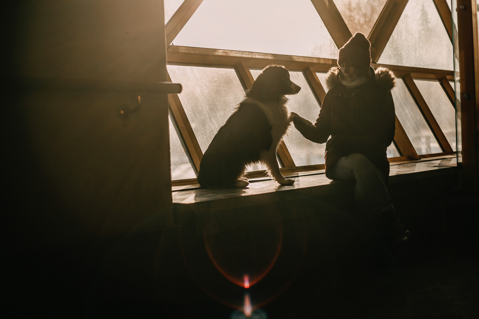 Анна и Чарли. Фотограф-анималист Елена Радченко, Москва