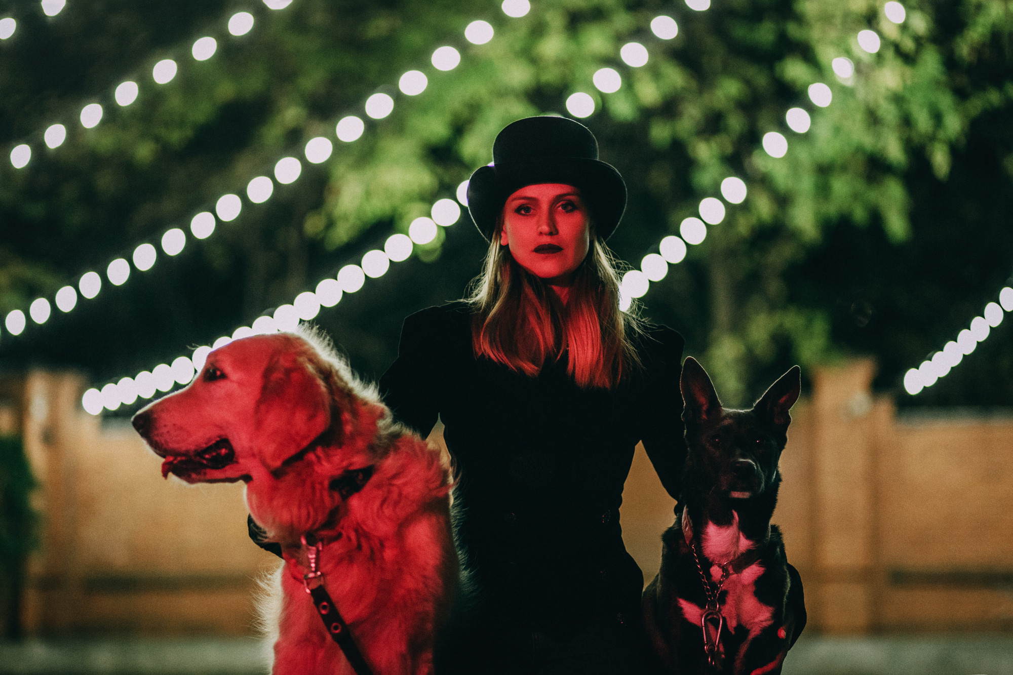 Ира, Бэлла и Альма. Фотограф-анималист Елена Радченко, Москва