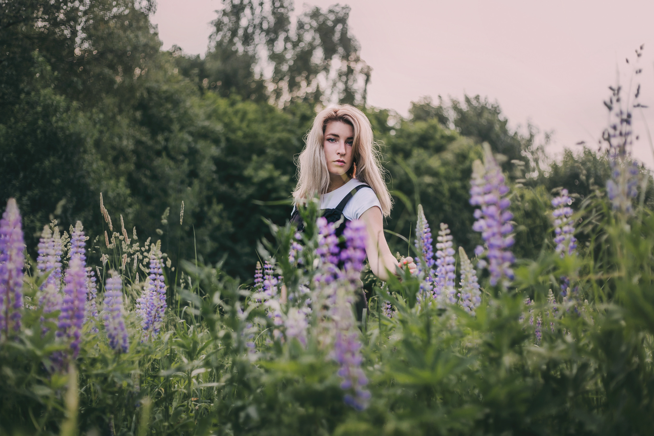 Нина в люпинах. Фотограф-анималист Елена Радченко, Москва