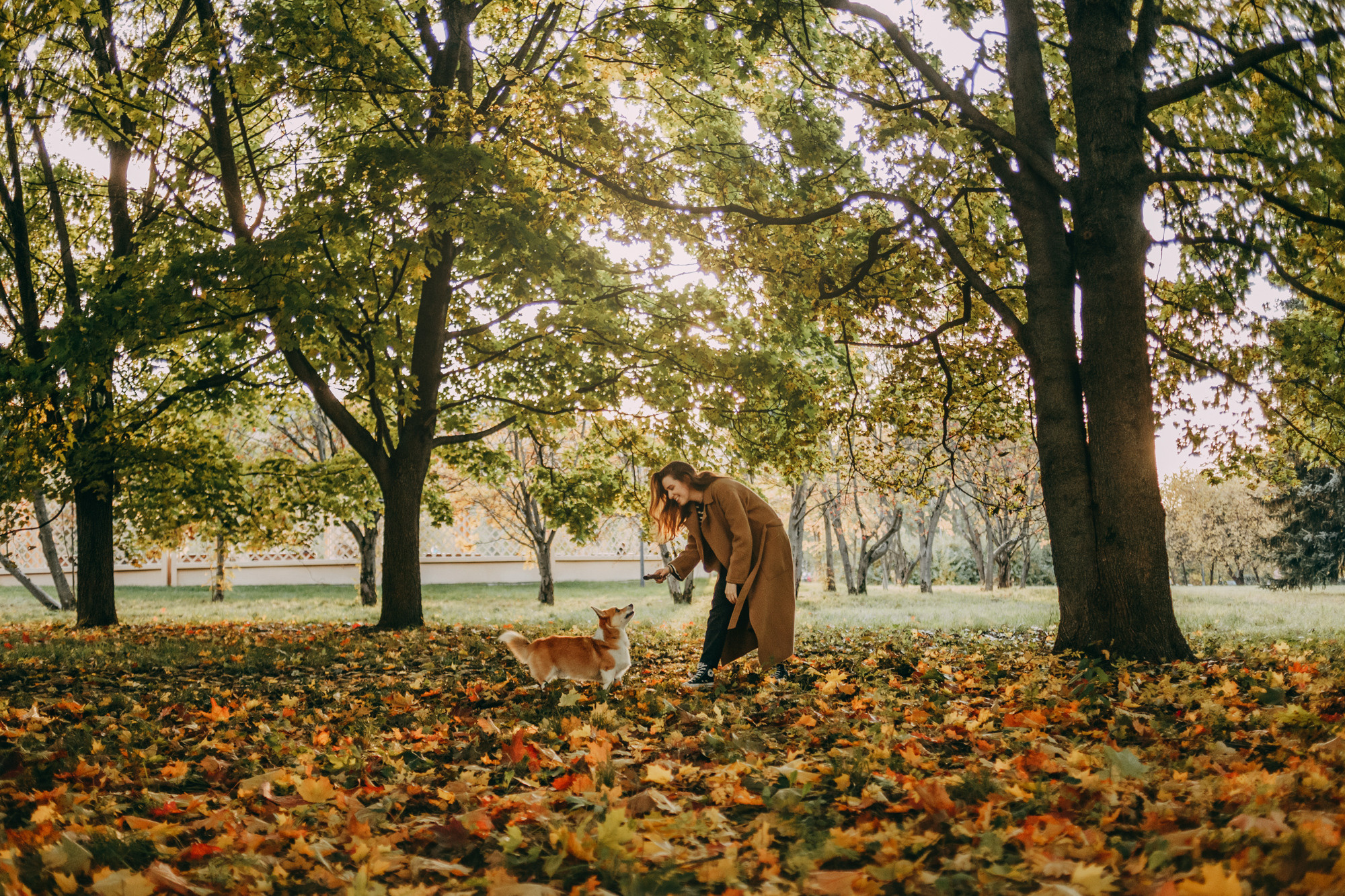 Настя и Пумба. Фотограф-анималист Елена Радченко, Москва