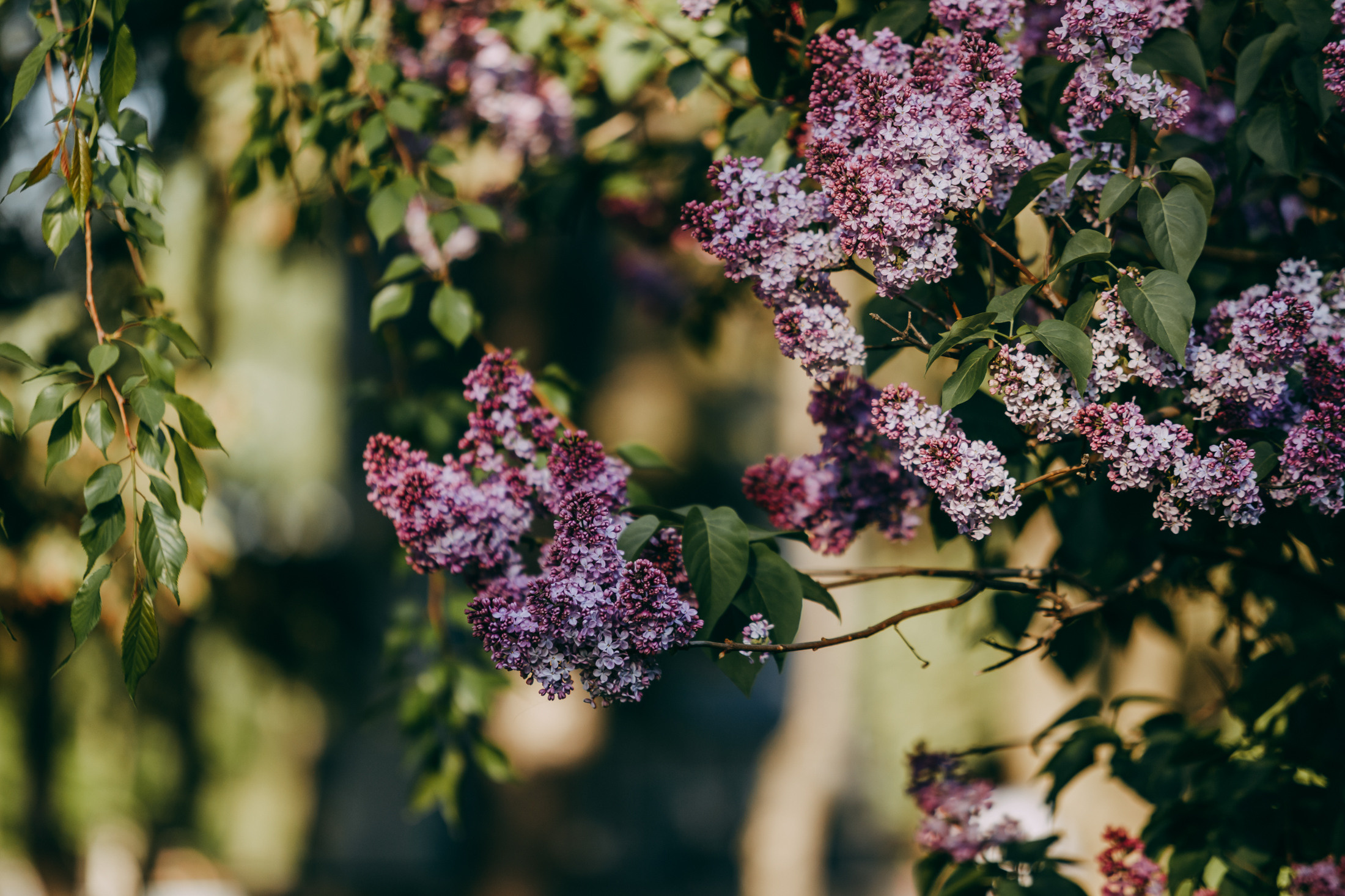 Аня и Винни. Фотограф-анималист Елена Радченко, Москва