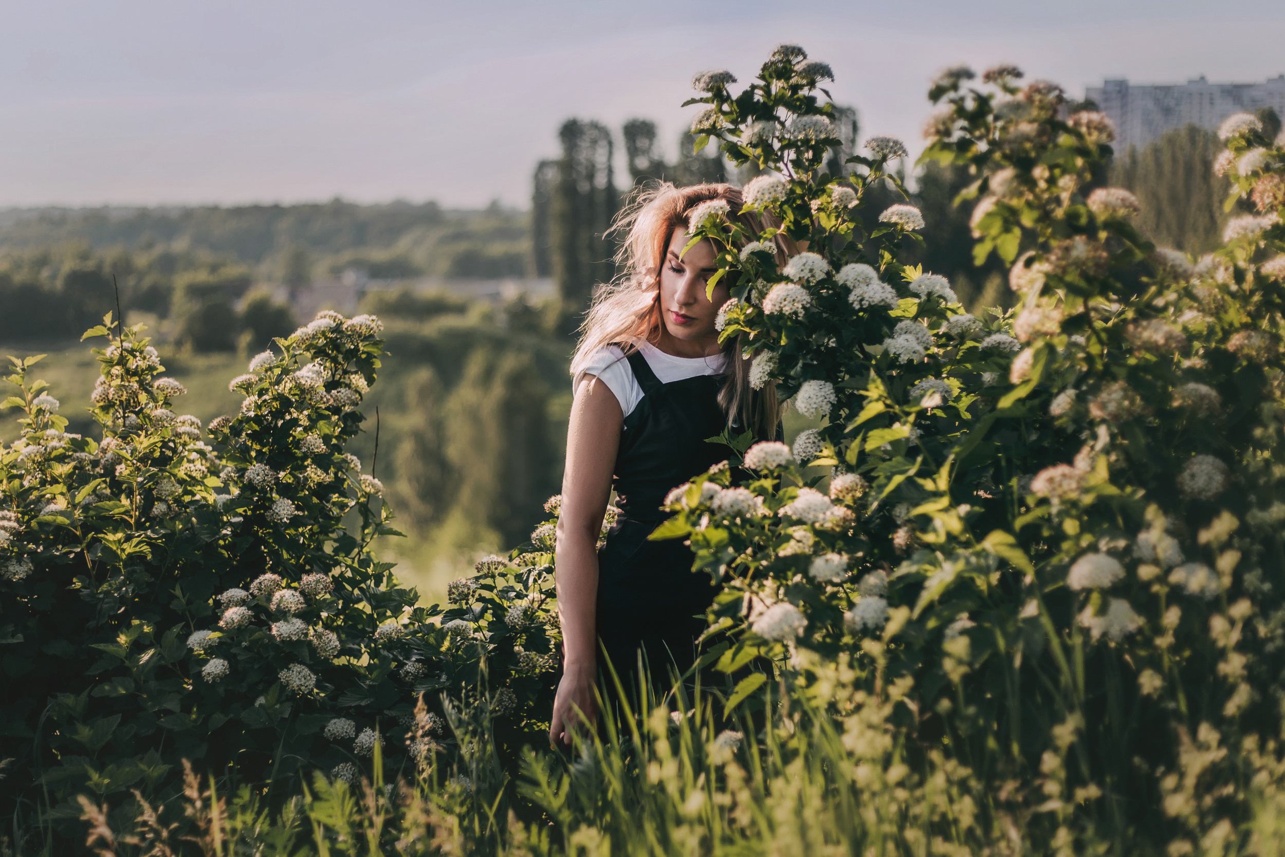 Нина в люпинах. Фотограф-анималист Елена Радченко, Москва