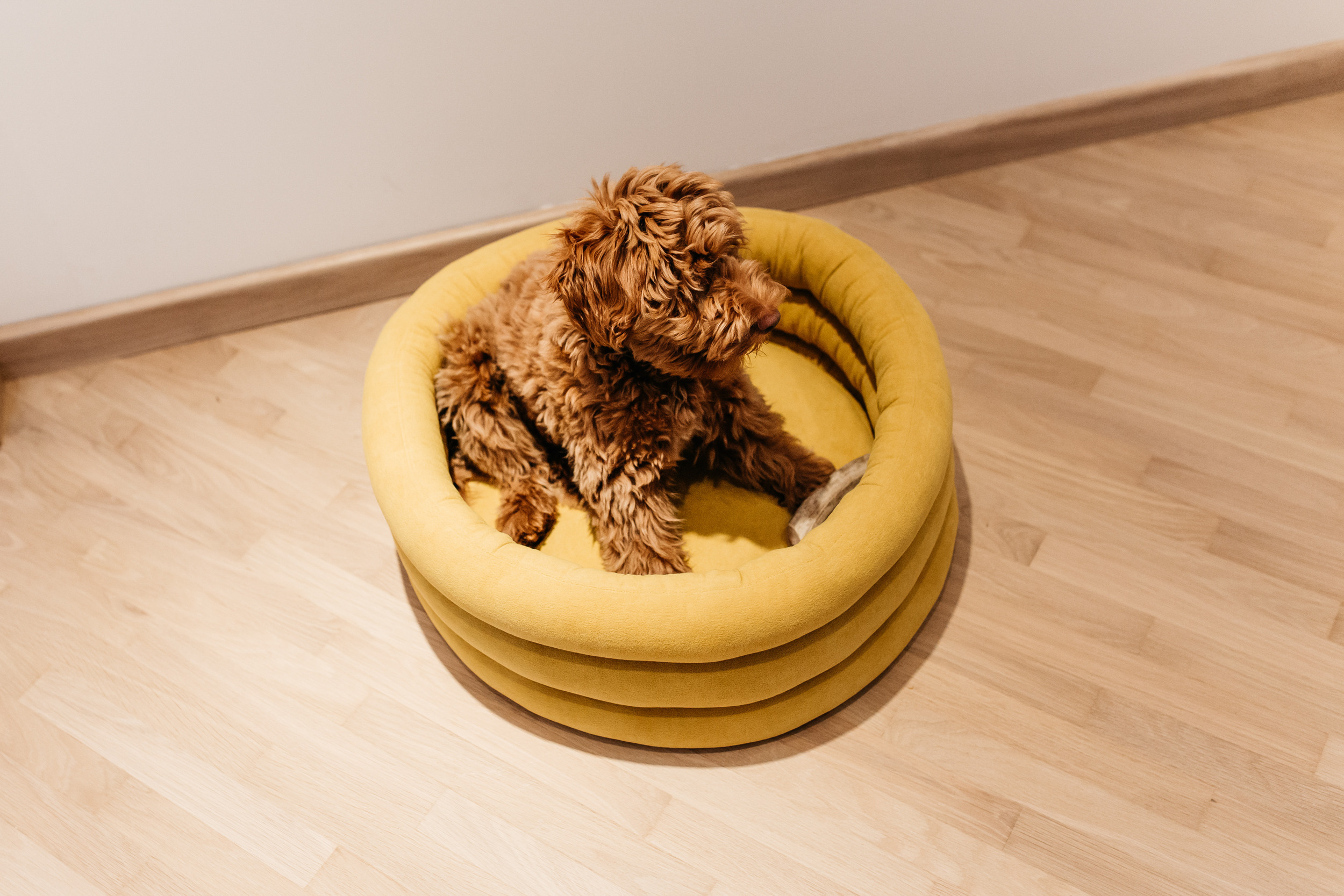 Магазин Bumbaboo. Фотограф-анималист Елена Радченко, Москва