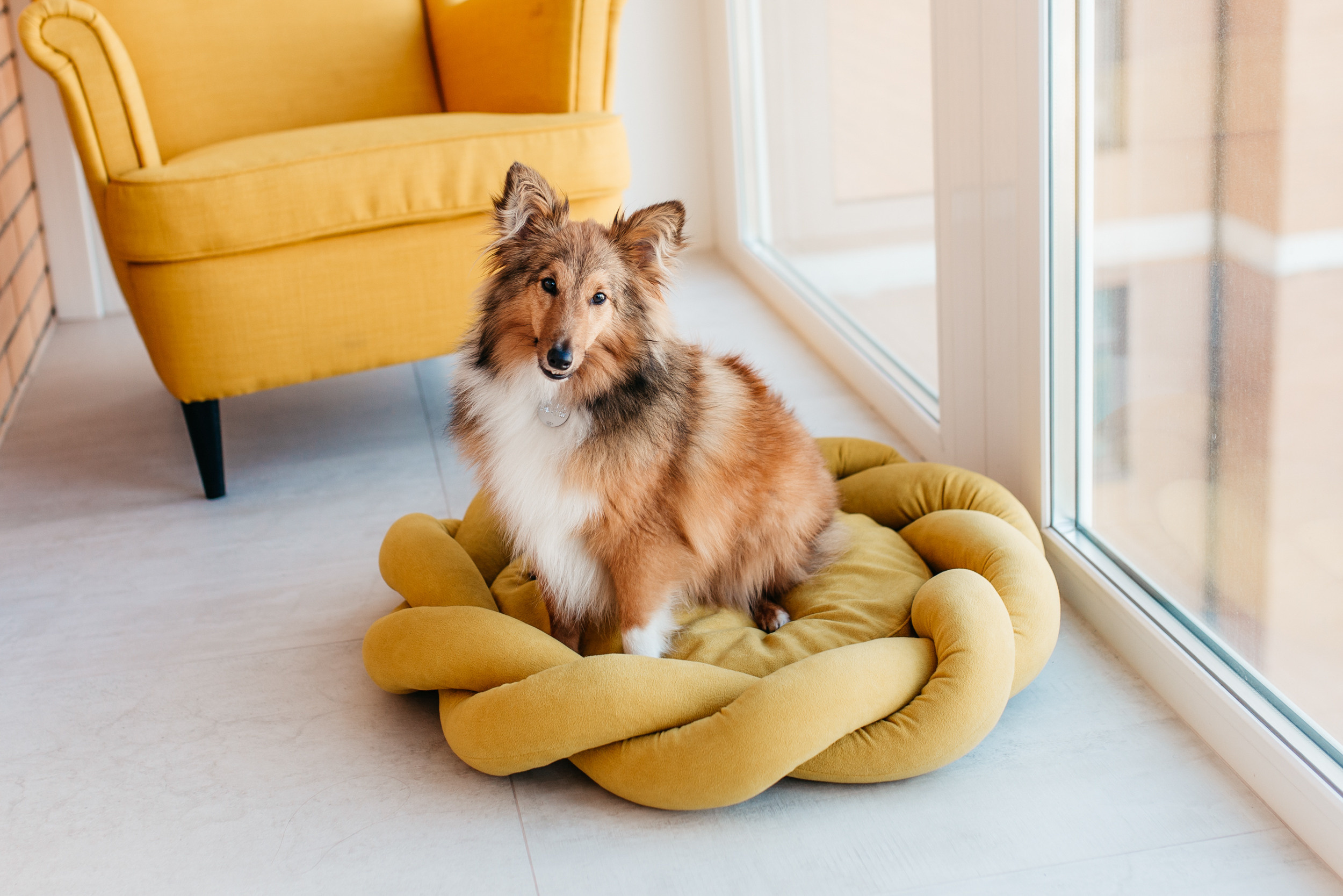 Магазин Bumbaboo. Фотограф-анималист Елена Радченко, Москва