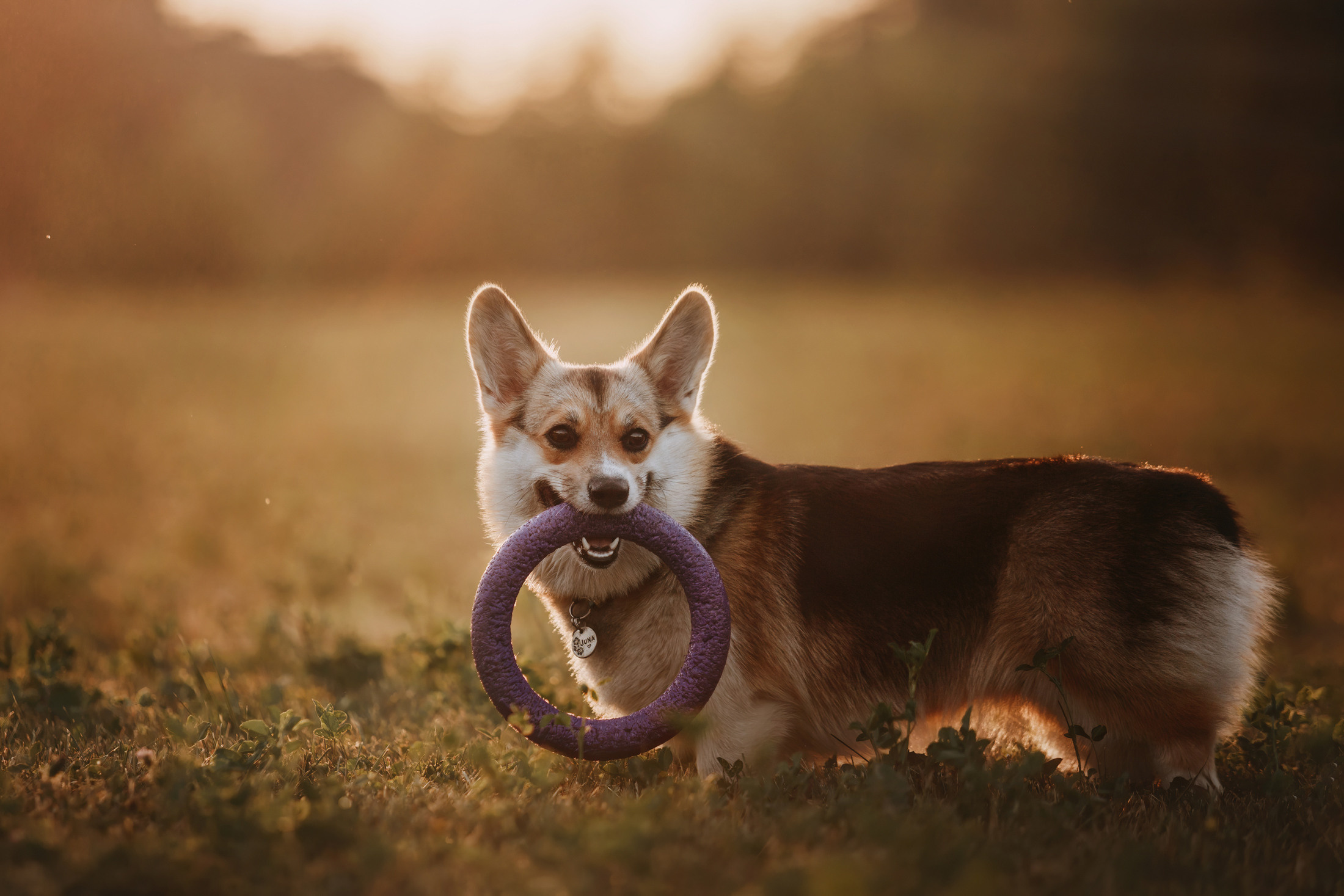 Вилена и Джуна. Фотограф-анималист Елена Радченко, Москва
