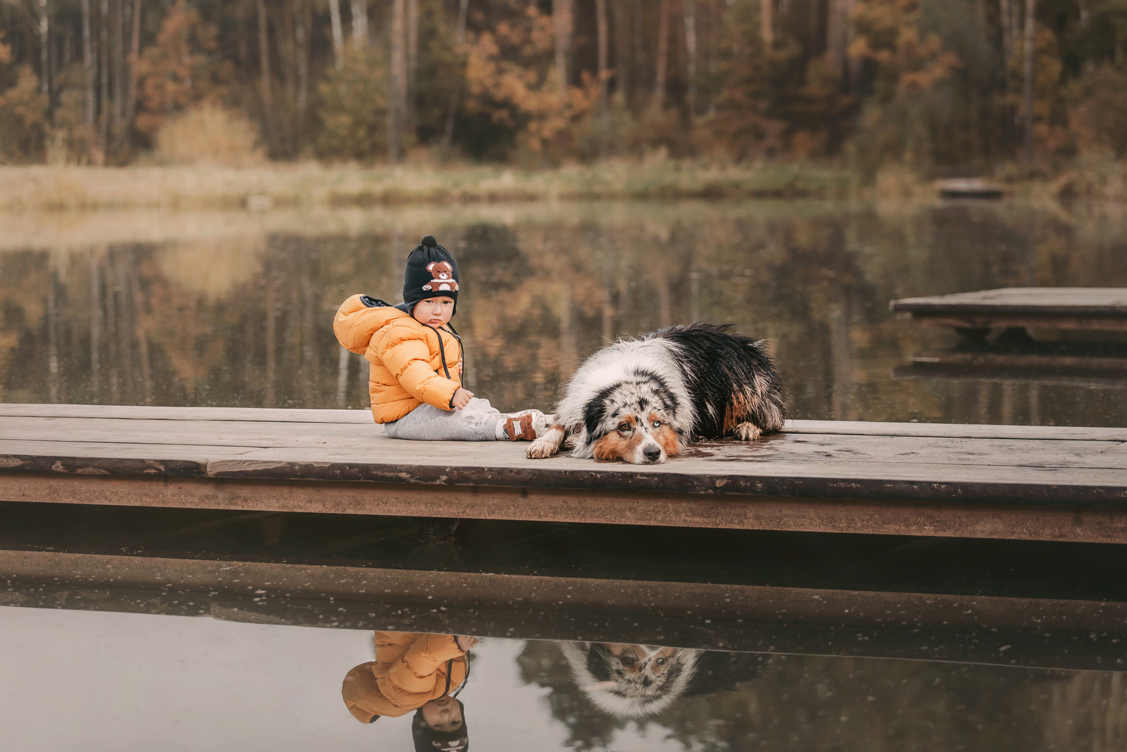 Руби и семья. Фотограф-анималист Елена Радченко, Москва