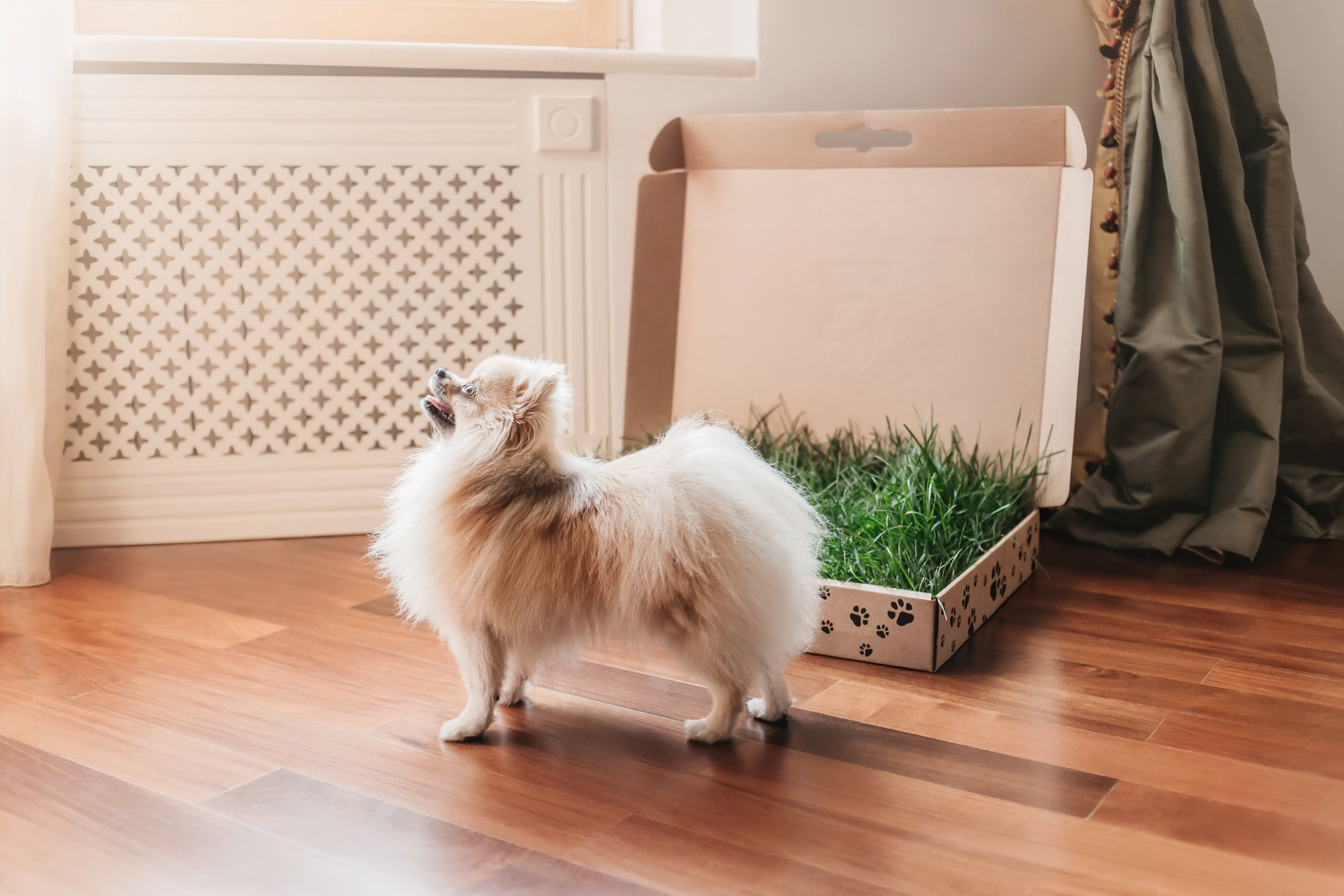 Эко-лотки. Фотограф-анималист Елена Радченко, Москва