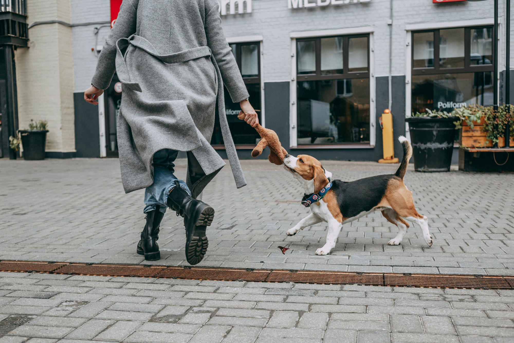 Марина и Дэй. Фотограф-анималист Елена Радченко, Москва