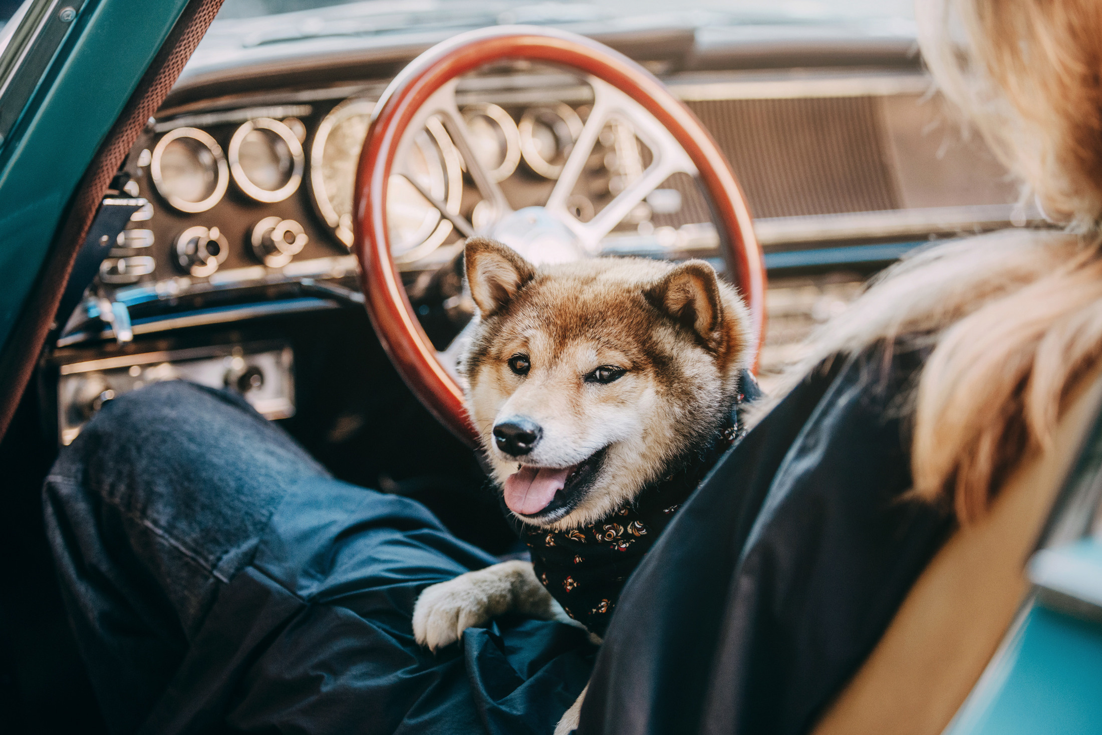 Наталья и Шанти. Фотограф-анималист Елена Радченко, Москва