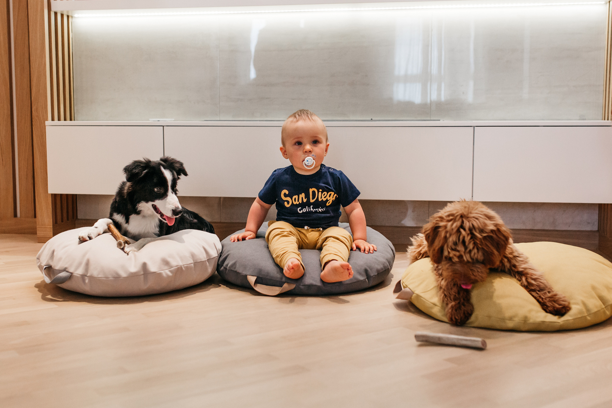 Магазин Bumbaboo. Фотограф-анималист Елена Радченко, Москва