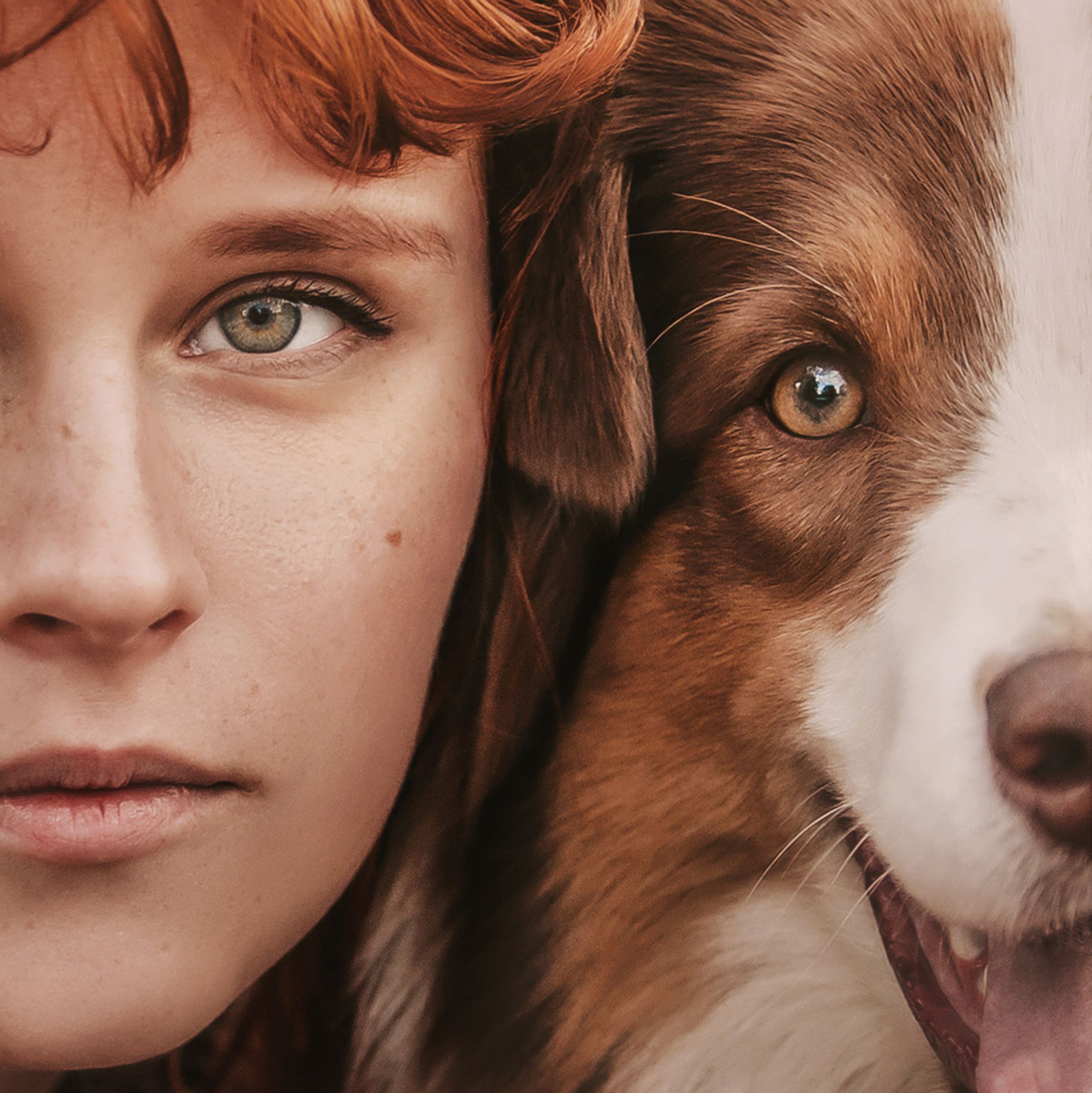 Тася и Морошка. Фотограф-анималист Елена Радченко, Москва