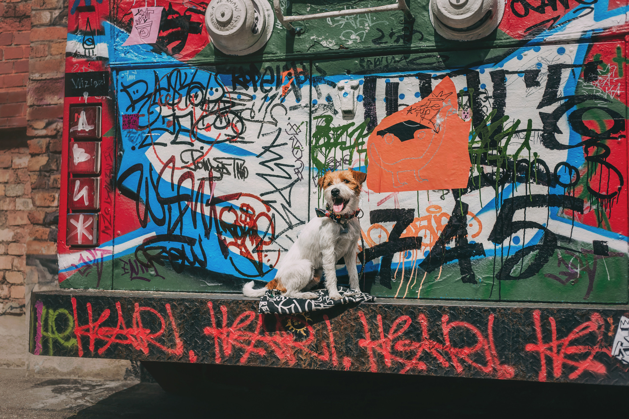 Женя, Марина и Теон. Фотограф-анималист Елена Радченко, Москва