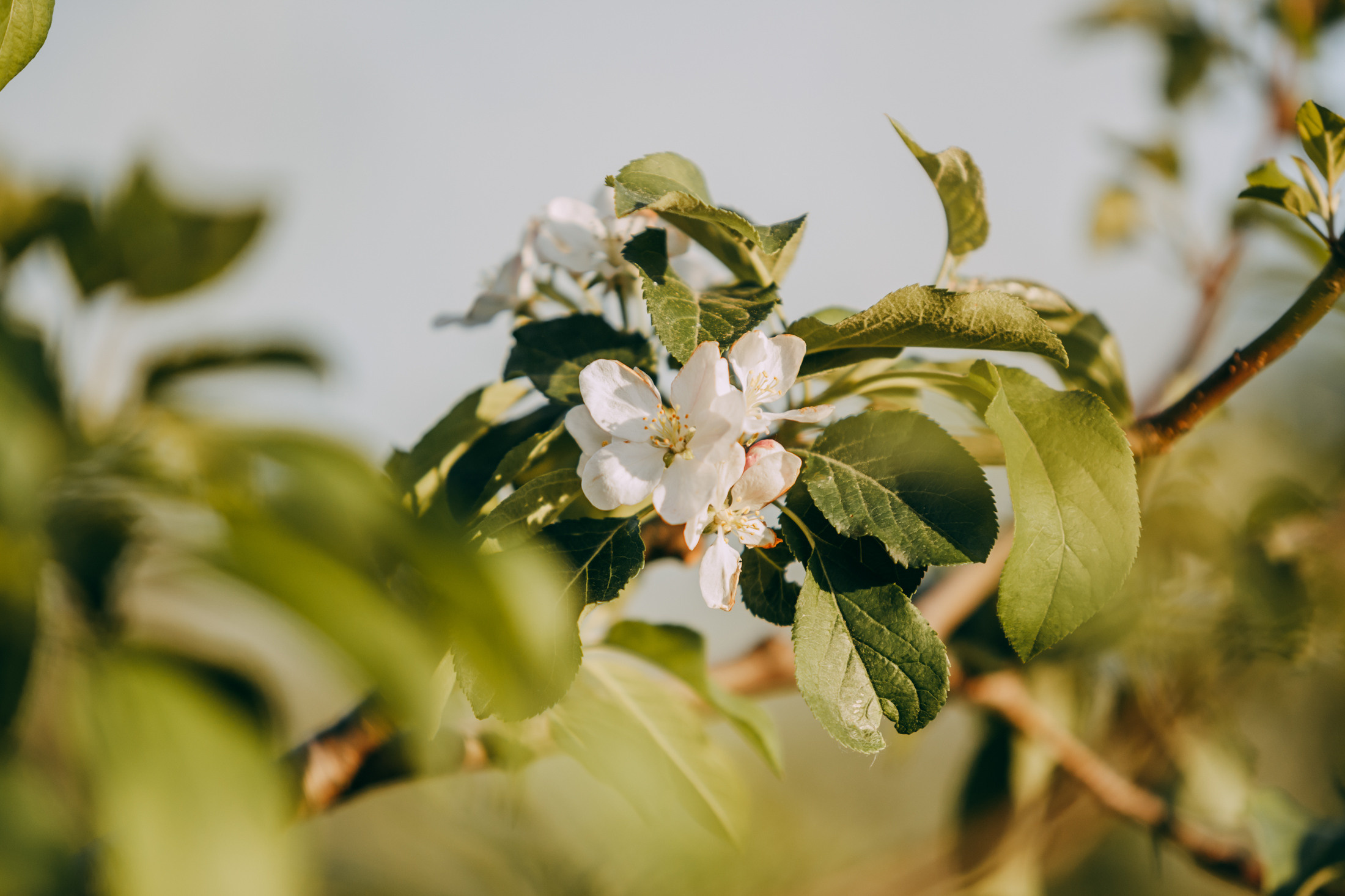 Аня и Винни. Фотограф-анималист Елена Радченко, Москва