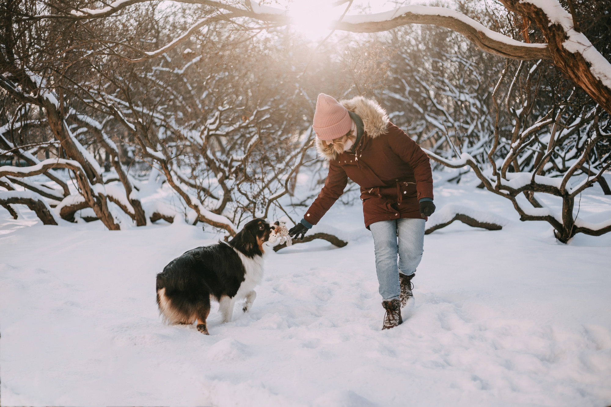 Анна и Чарли. Фотограф-анималист Елена Радченко, Москва