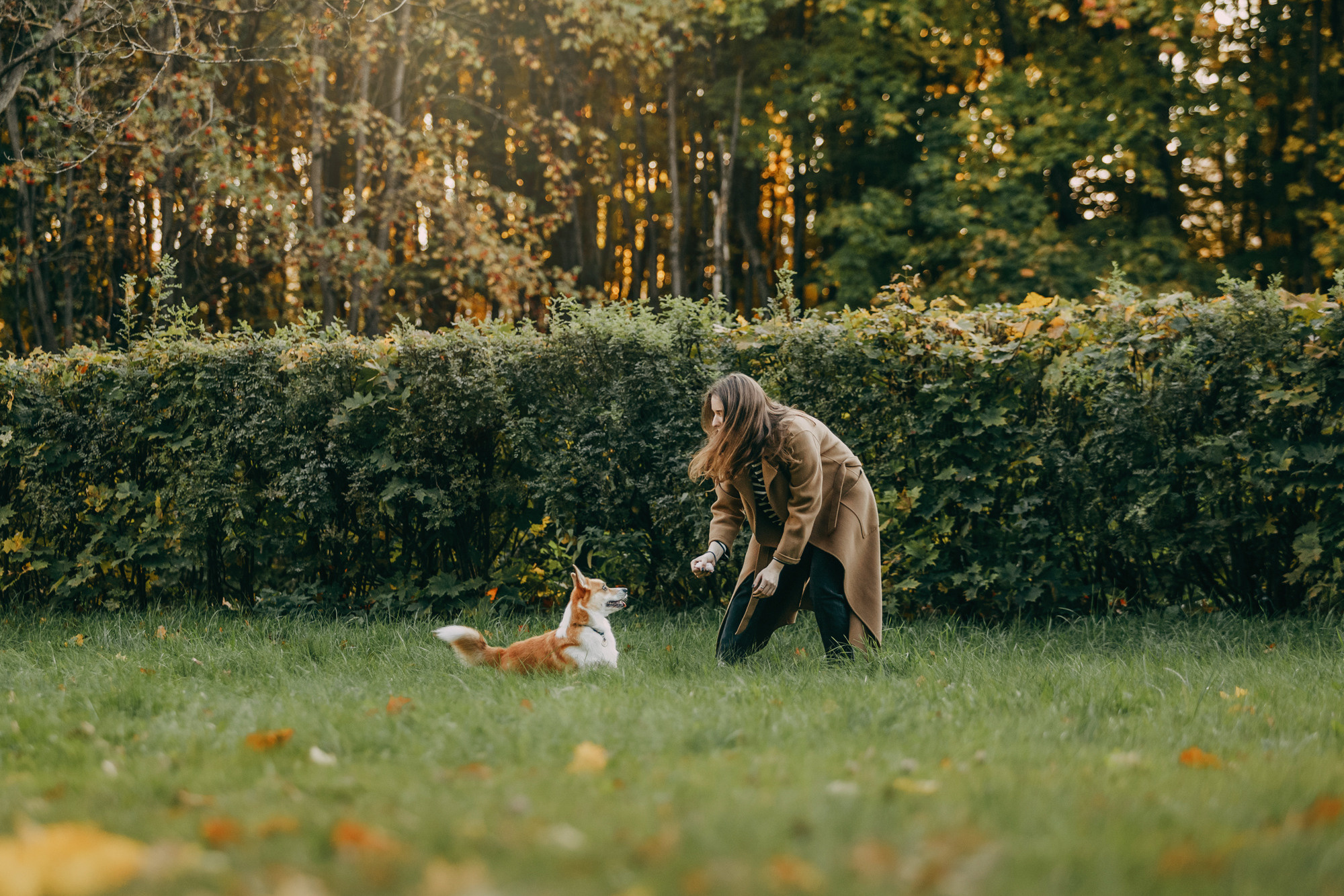 Настя и Пумба. Фотограф-анималист Елена Радченко, Москва