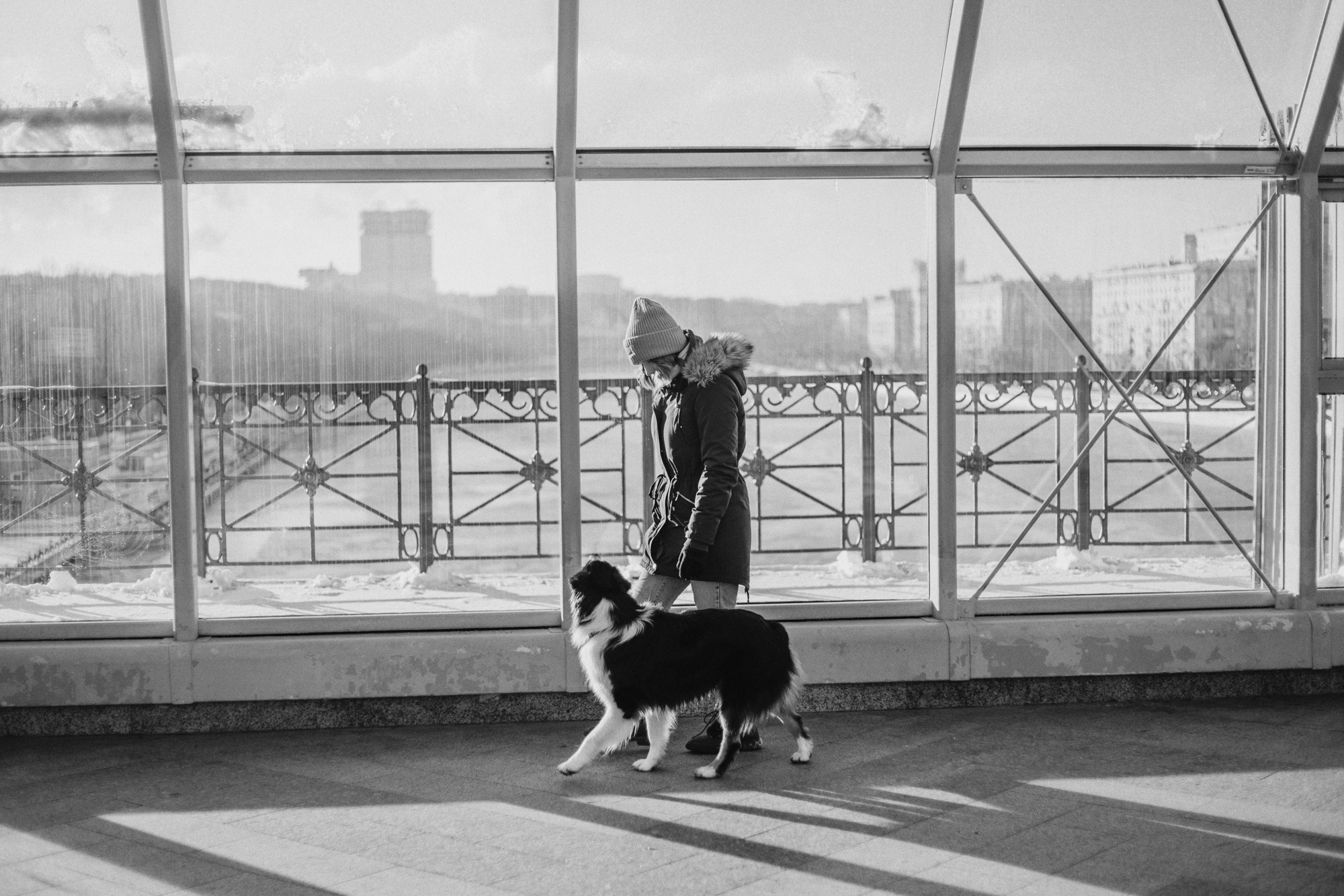 Анна и Чарли. Фотограф-анималист Елена Радченко, Москва