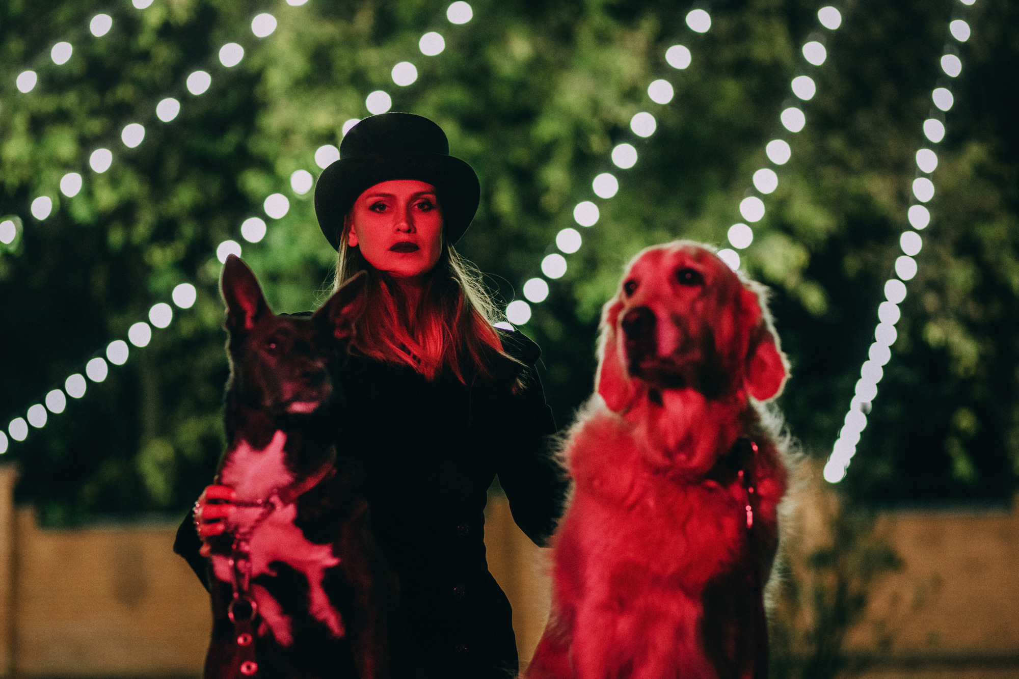 Ира, Бэлла и Альма. Фотограф-анималист Елена Радченко, Москва