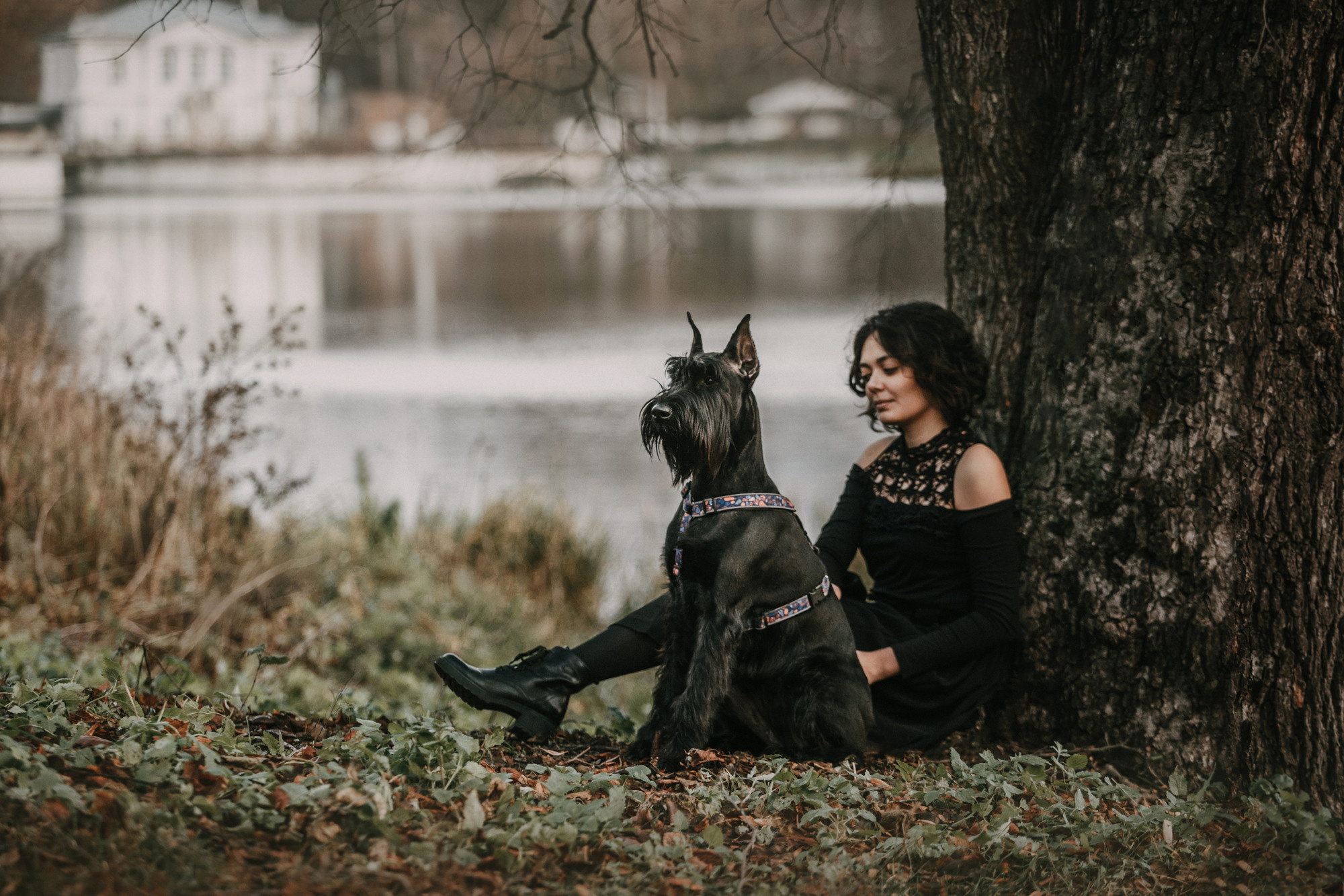 Асаль и Черри. Фотограф-анималист Елена Радченко, Москва