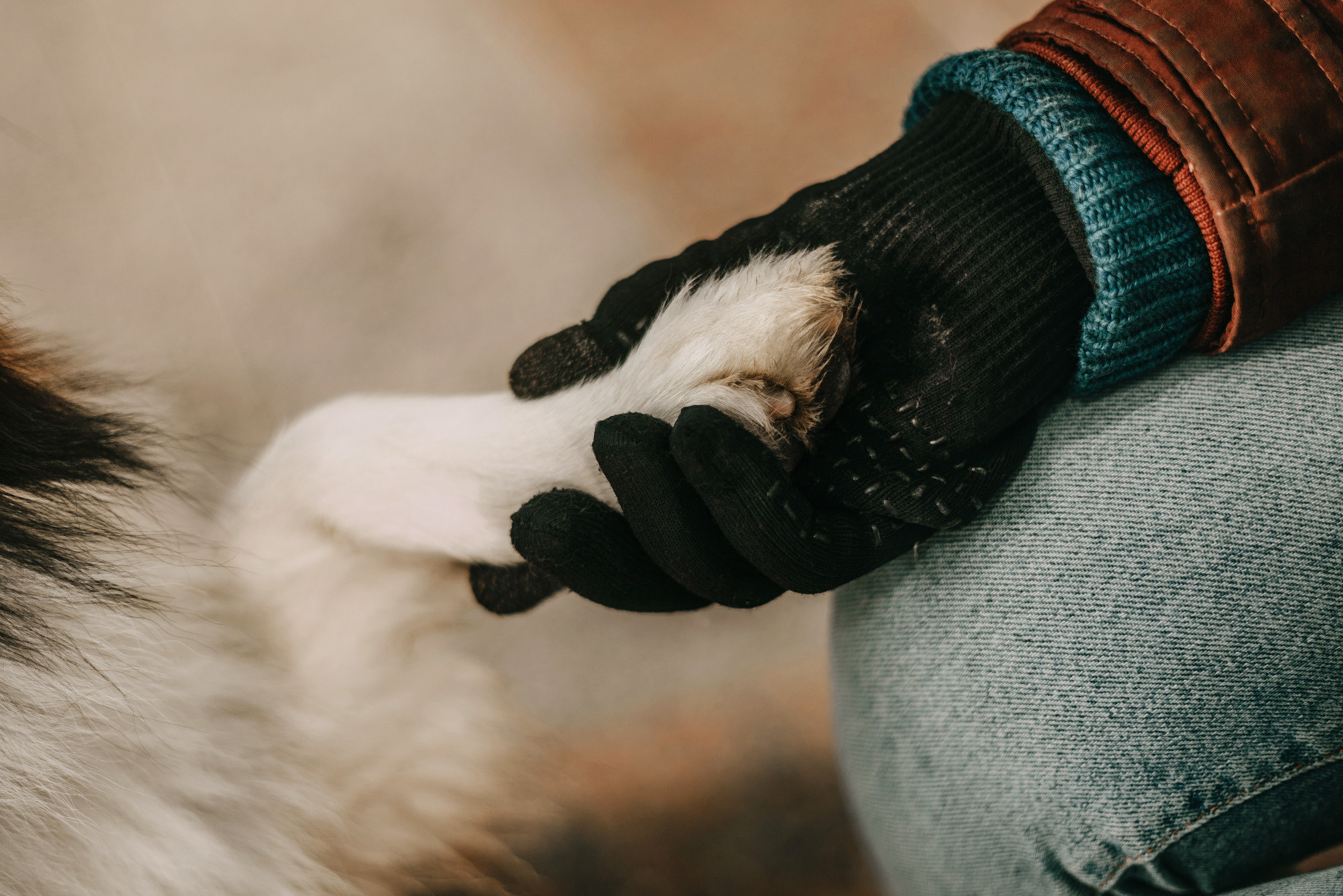 Анна и Чарли. Фотограф-анималист Елена Радченко, Москва