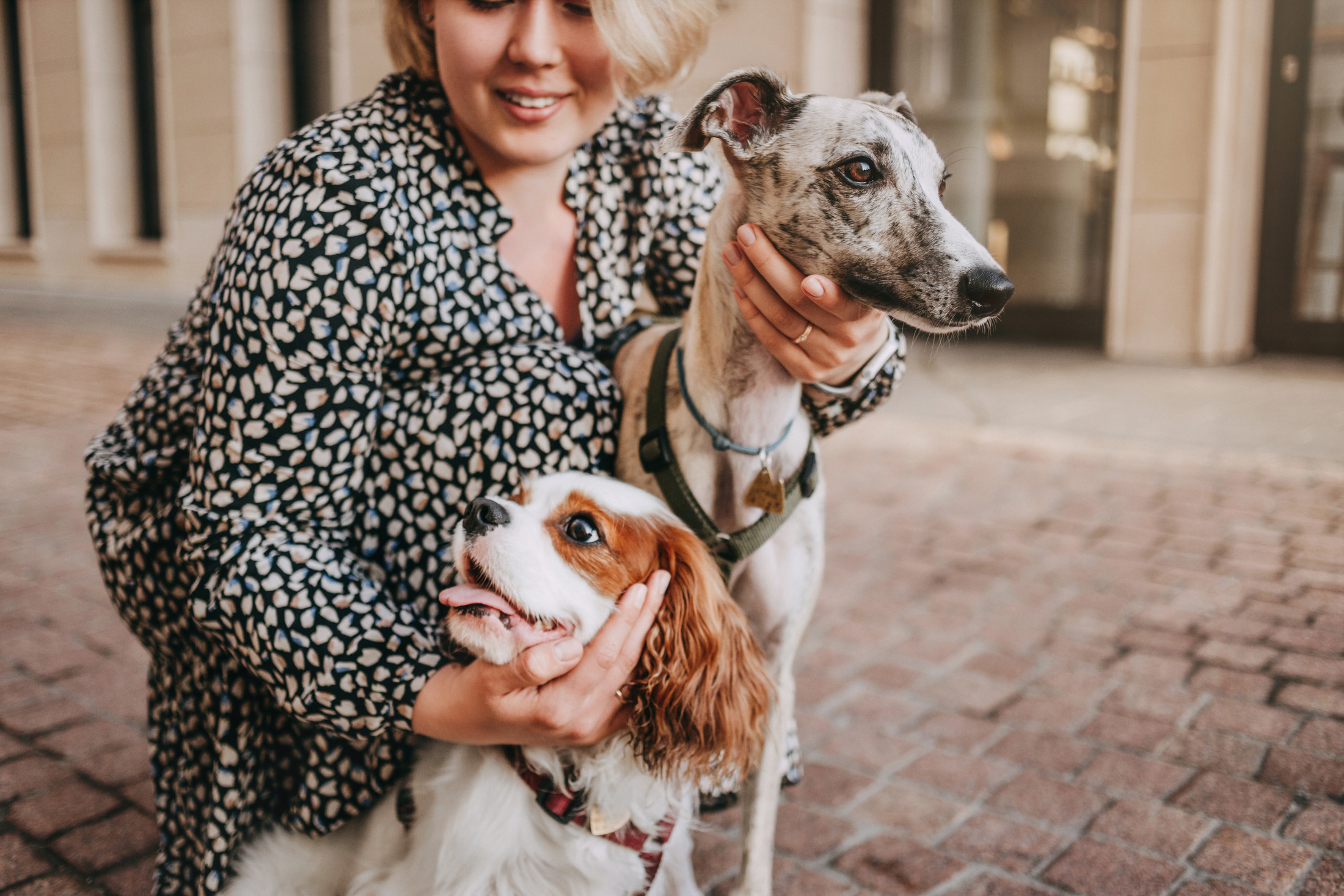 Никита, Катя, Стэн и Марвел. Фотограф-анималист Елена Радченко, Москва