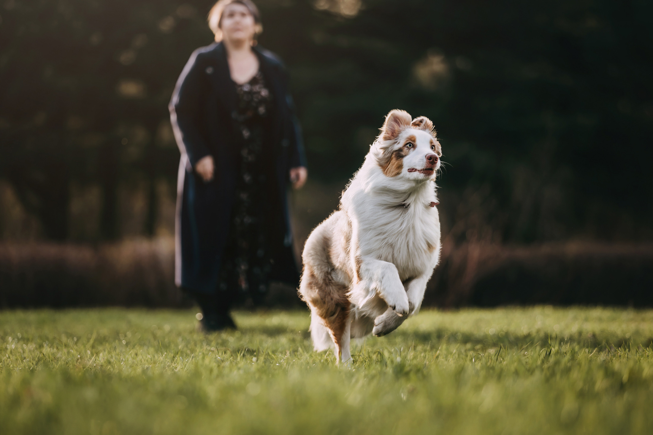 Джинни. Фотограф-анималист Елена Радченко, Москва