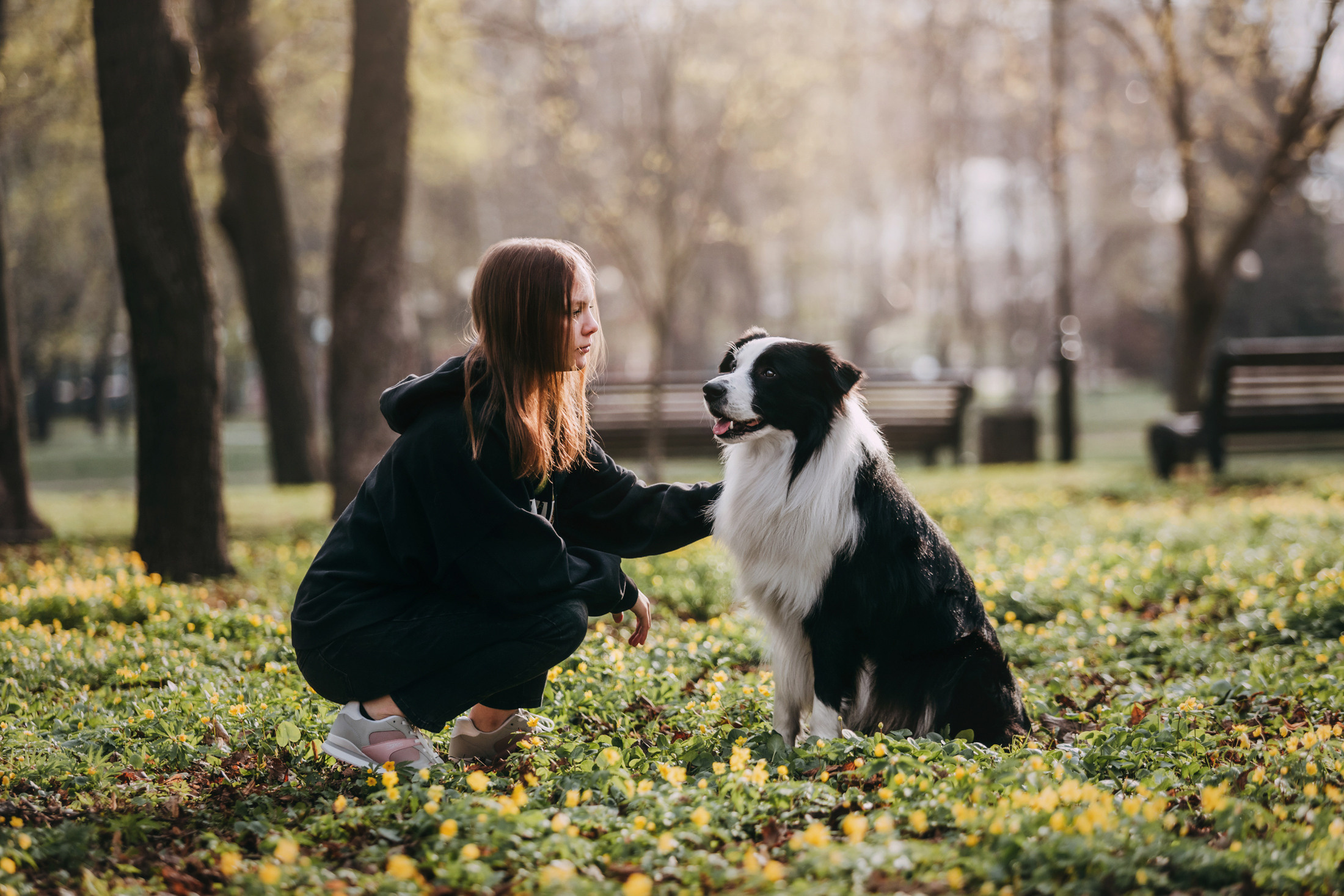 Найт. Фотограф-анималист Елена Радченко, Москва